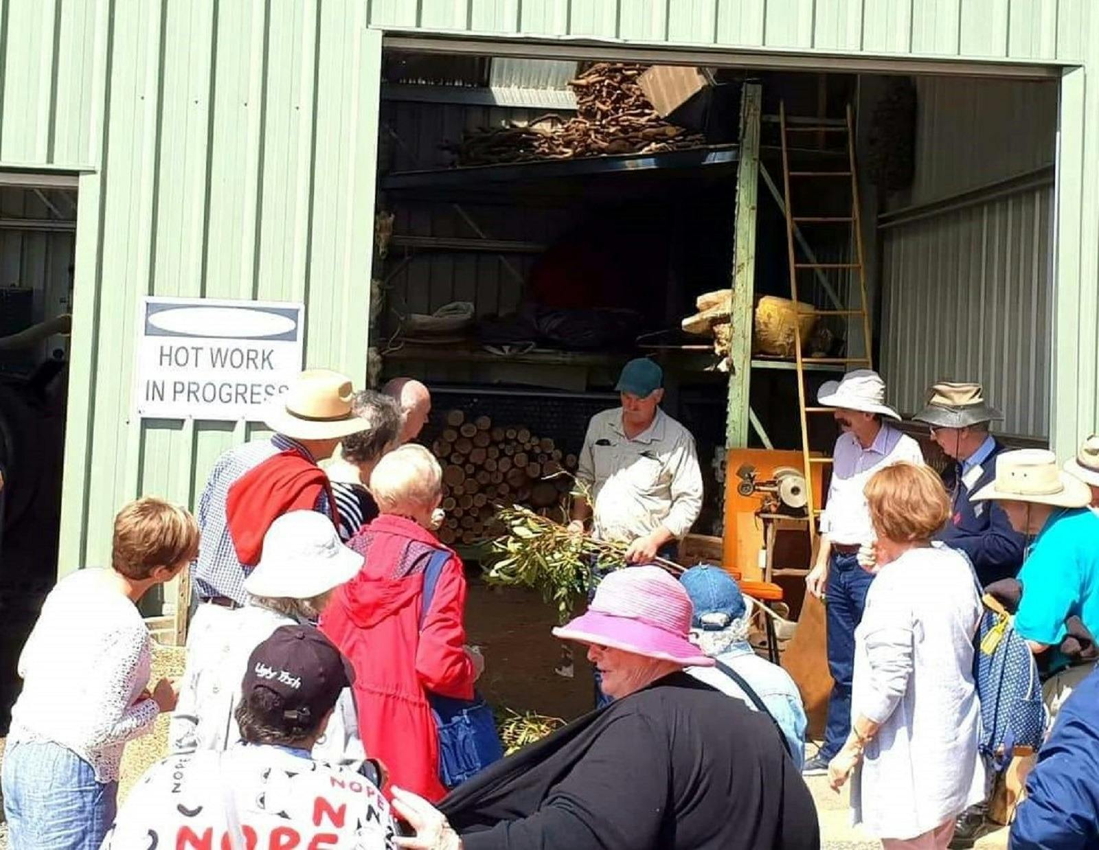 Coach tour eucalyptus oil distillery production and eucalyptus home cleaning product shopping