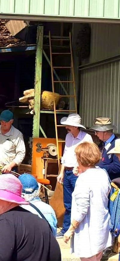 Coach tour eucalyptus oil distillery production and eucalyptus home cleaning product shopping