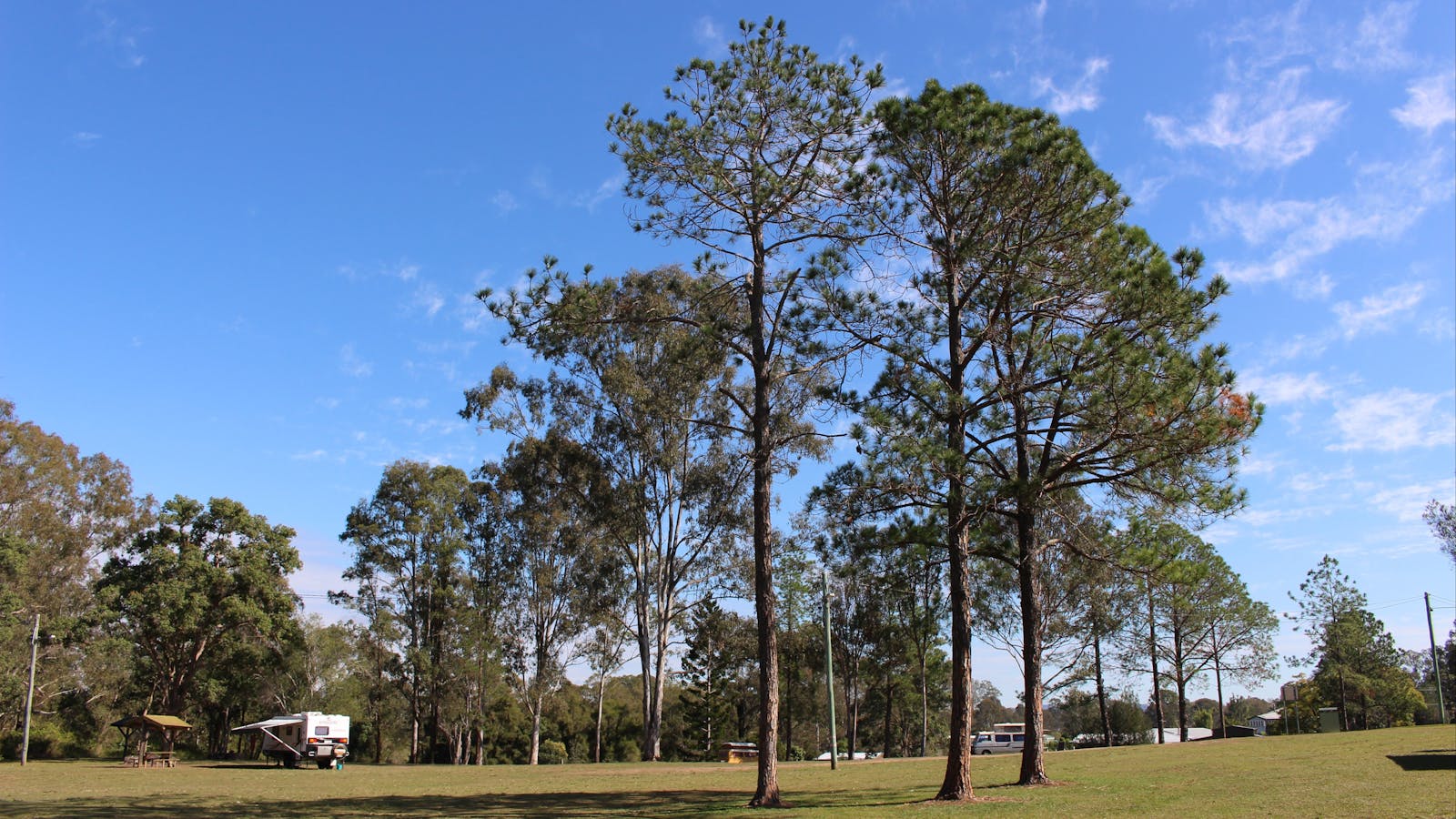 Tully Memorial Park