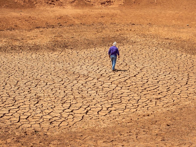 Image for EXHIBITION: Tayla Martin: Flood to Dust and Everything Inbetween