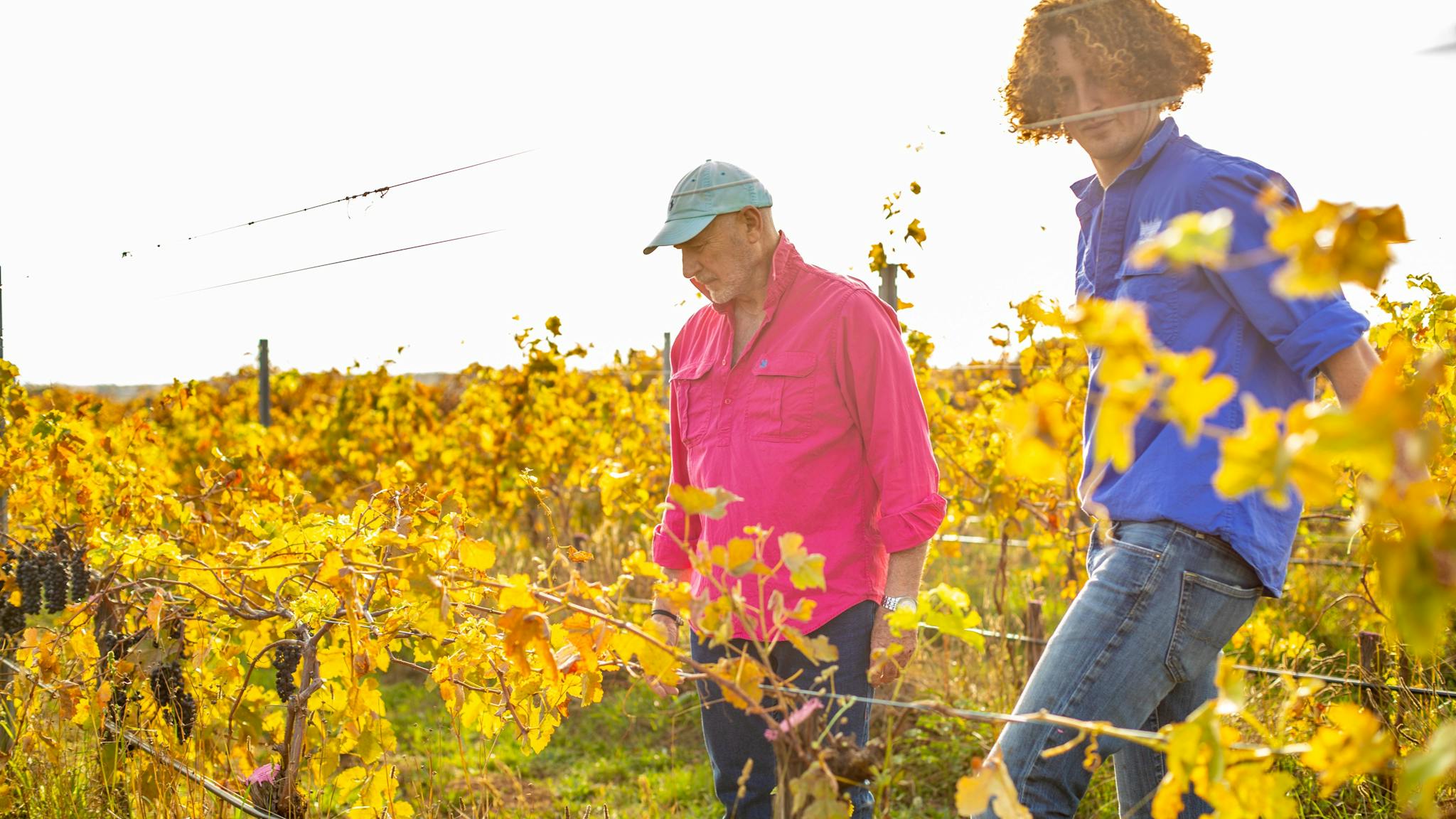 Kevin in Charlie in vineyard