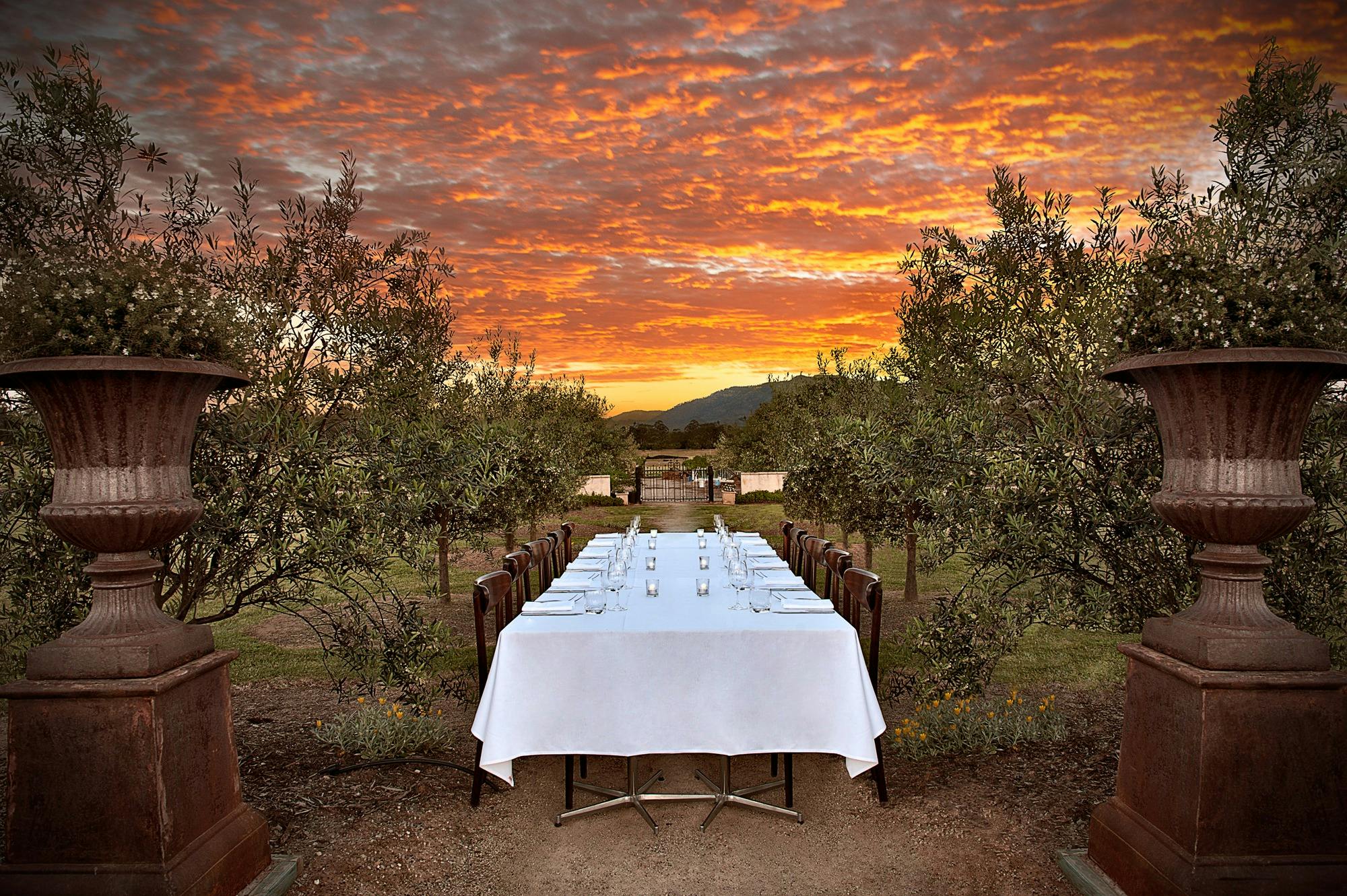 Margan Estate Helicopter Wine & Lunch Tour