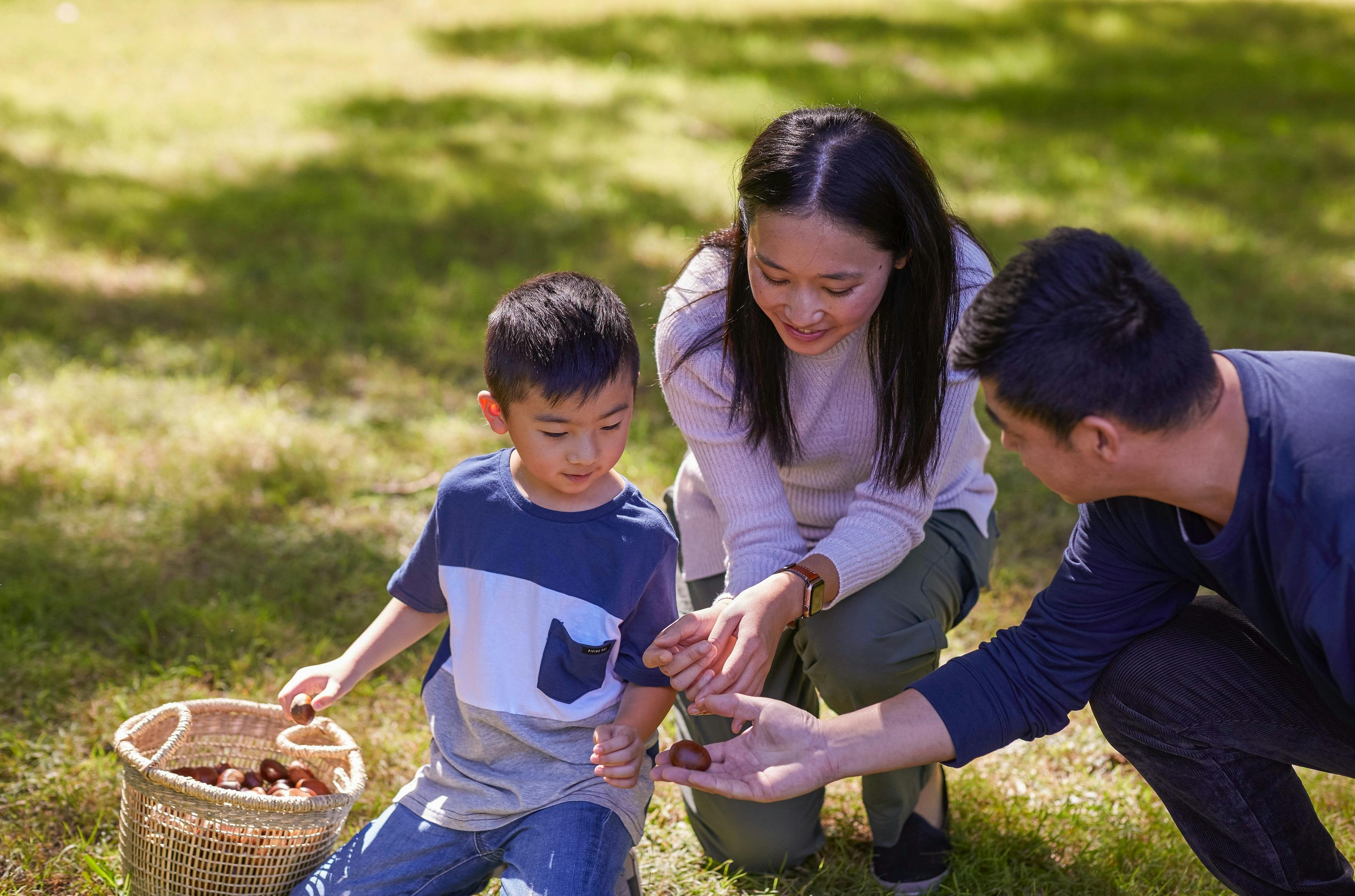 Family enjoying a day of chestnut picking at Nutwood Farm, Mount Irvine