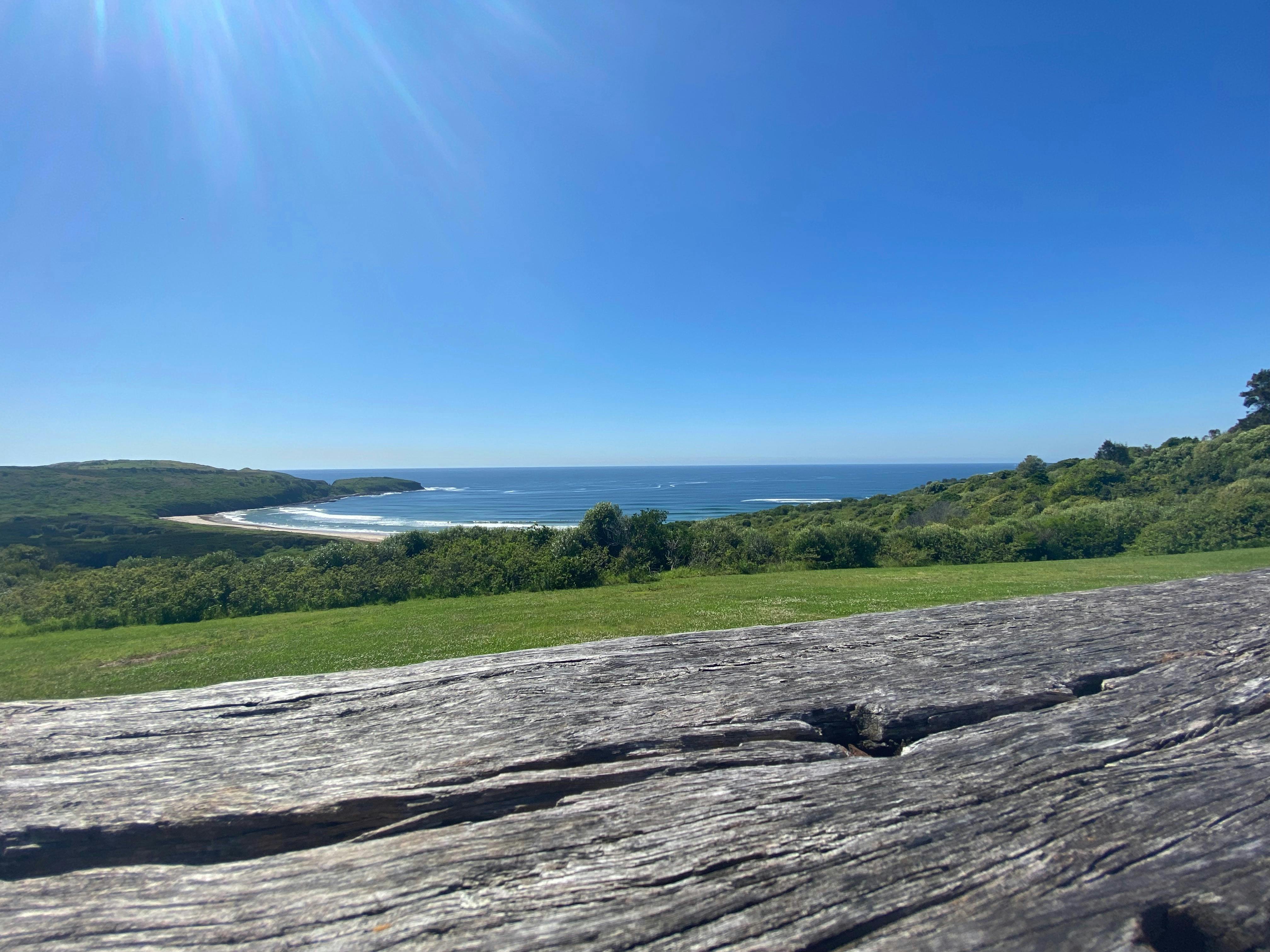 Traditional Bush Tucker / Medicine Walk