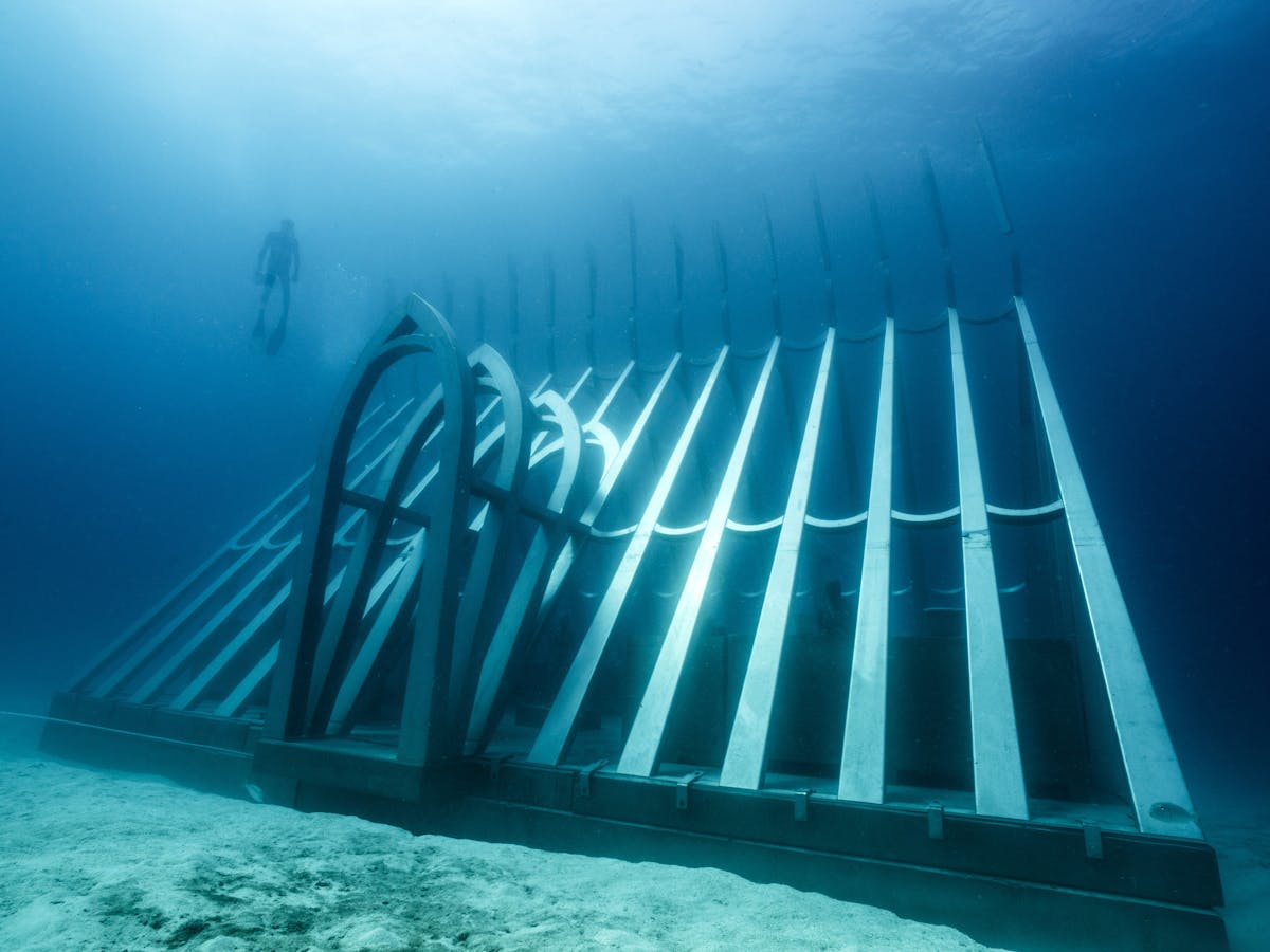 Coral Greenhouse / MOUA / Museum of Underwater Art