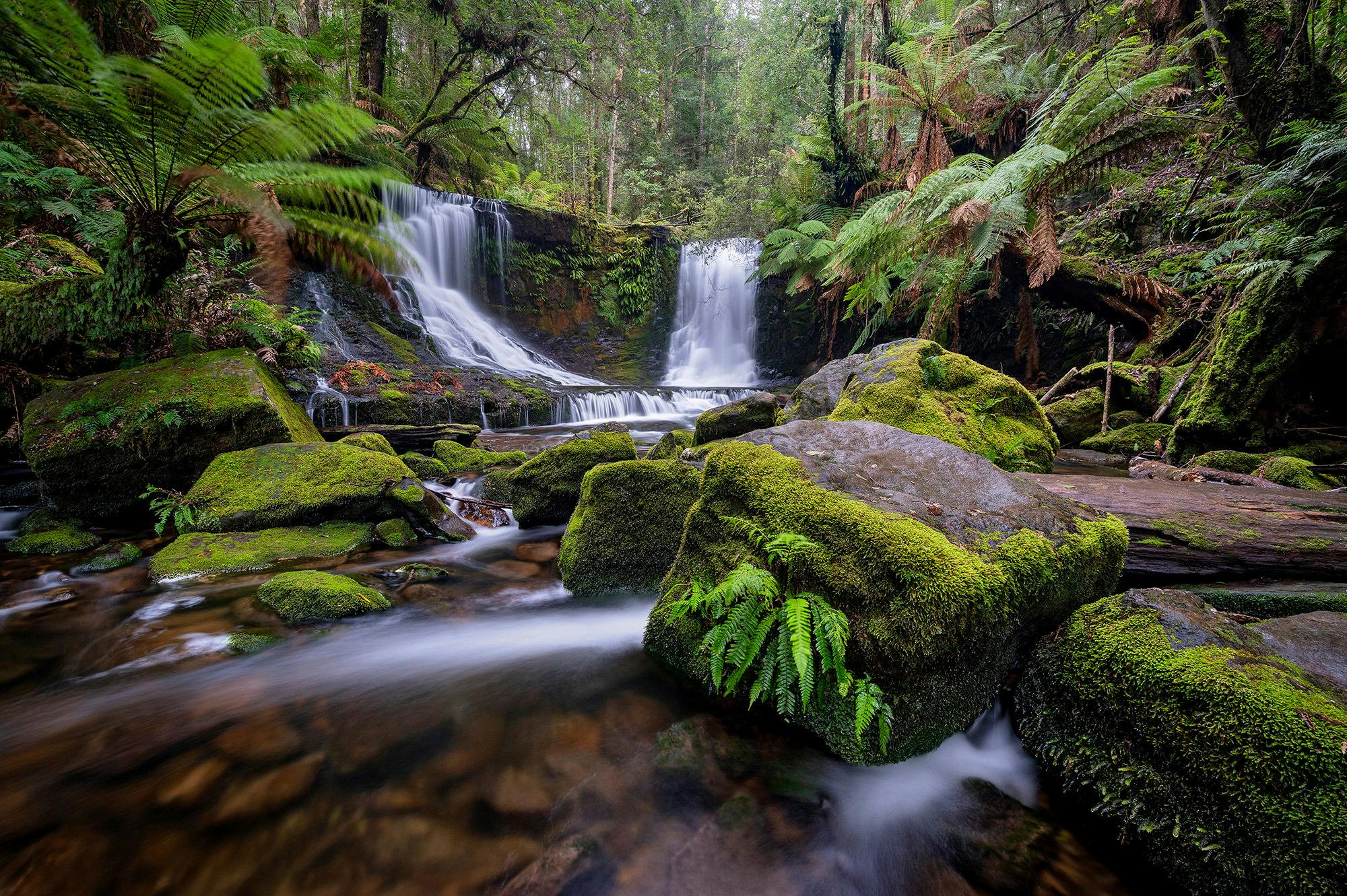 Horseshoe Falls at Mt Field National Park