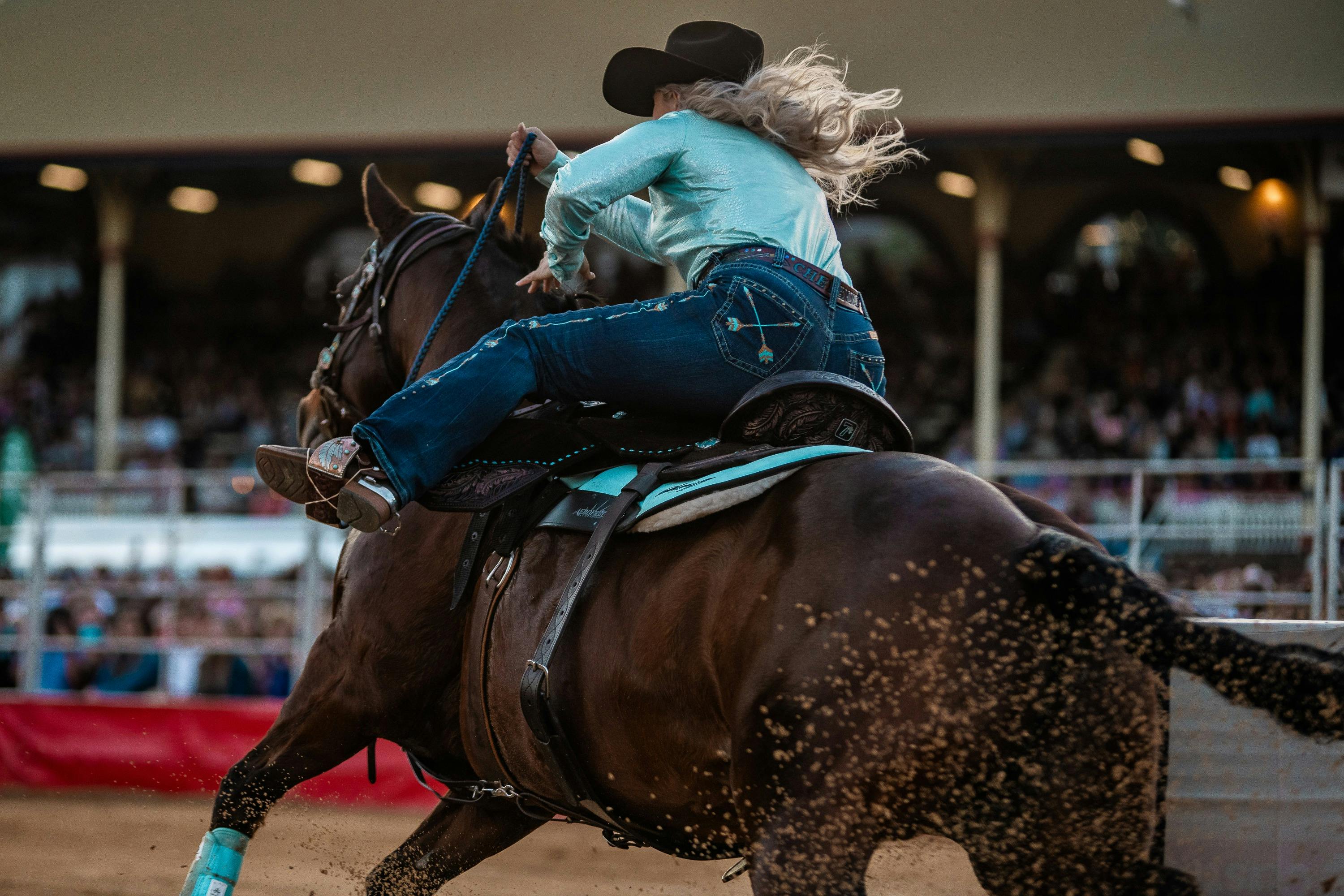 Barrel Racer in full flight
