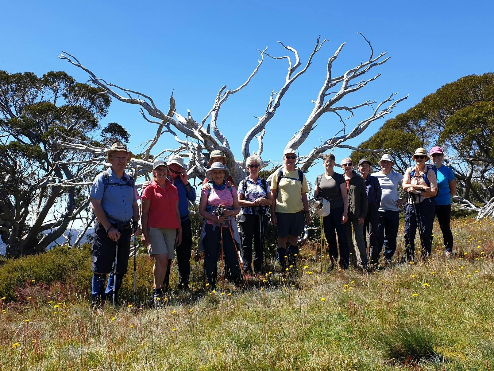 Smalll, friendly hiking groups