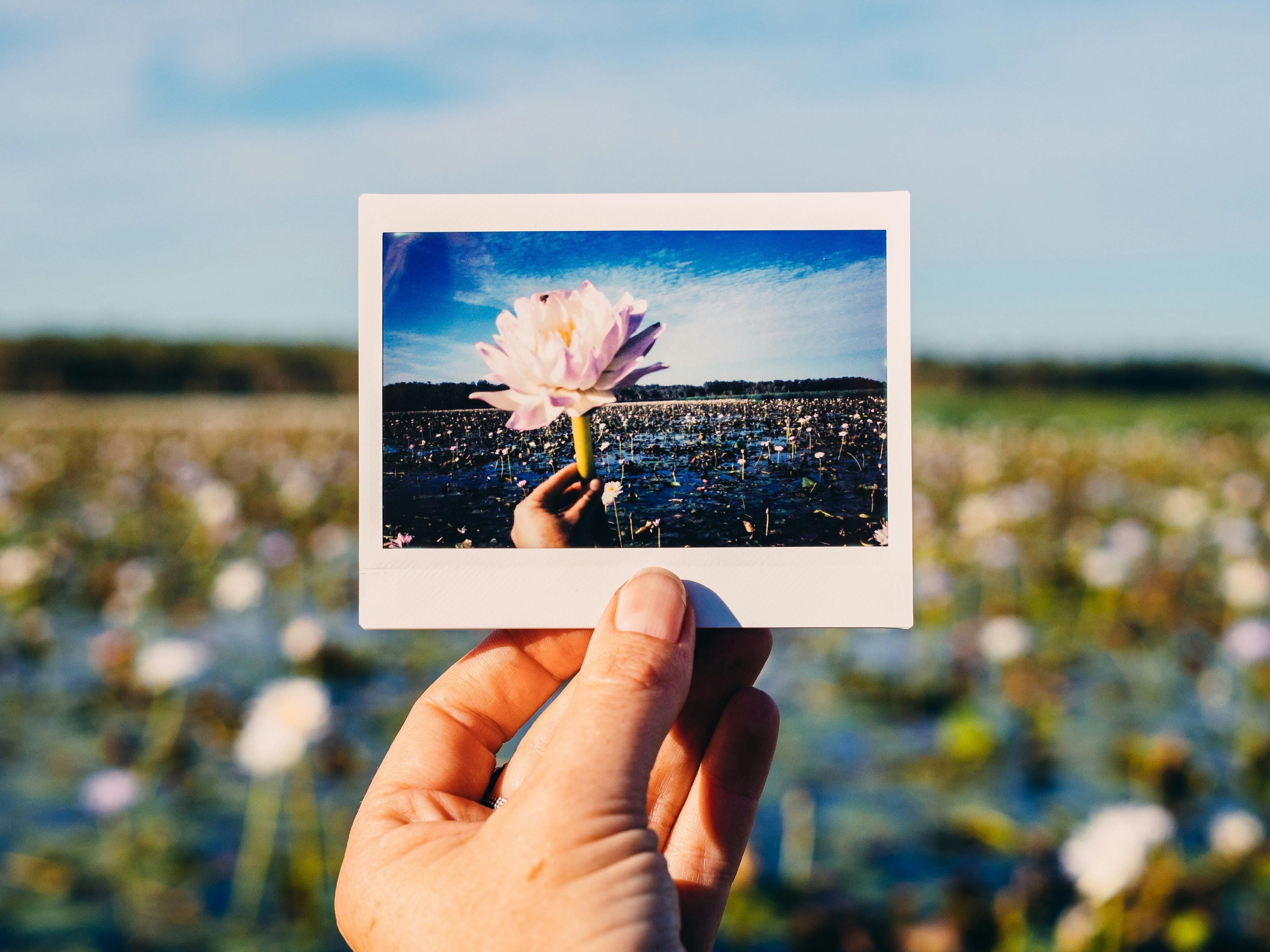Kakadu National Park is teeming with beautiful flora and fauna