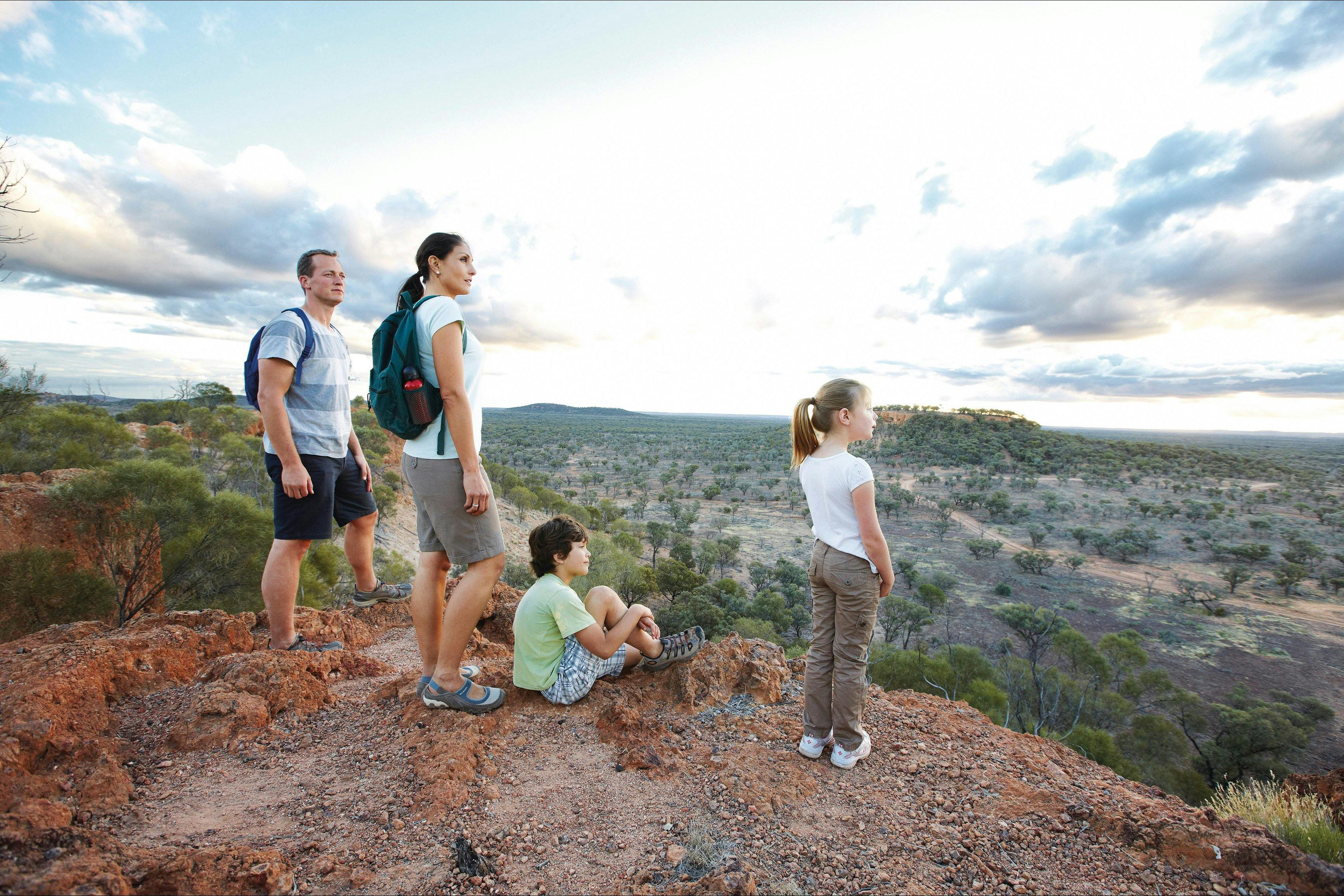 Baldy Top Lookout