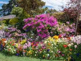 Toowoomba Chronicle Garden Competition/Garden for Good
