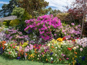 Toowoomba Chronicle Garden Competition/Garden for Good Cover Image