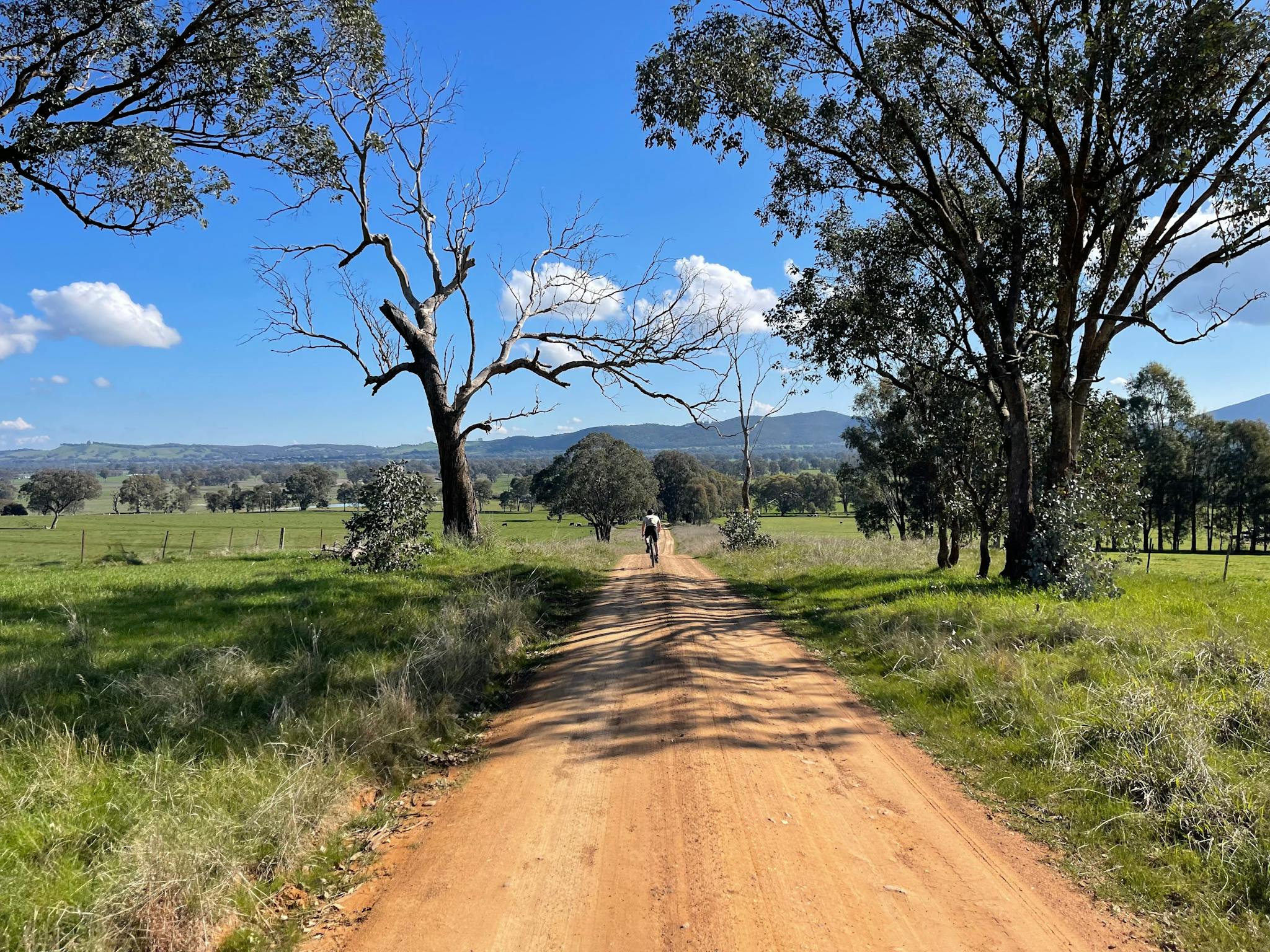 Gravel road, grass, farm paddocks, gum trees, cyclist in distance view of hills, blue sky