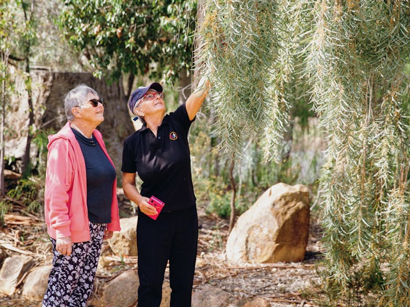 Endemic Garden, Grenfell NSW