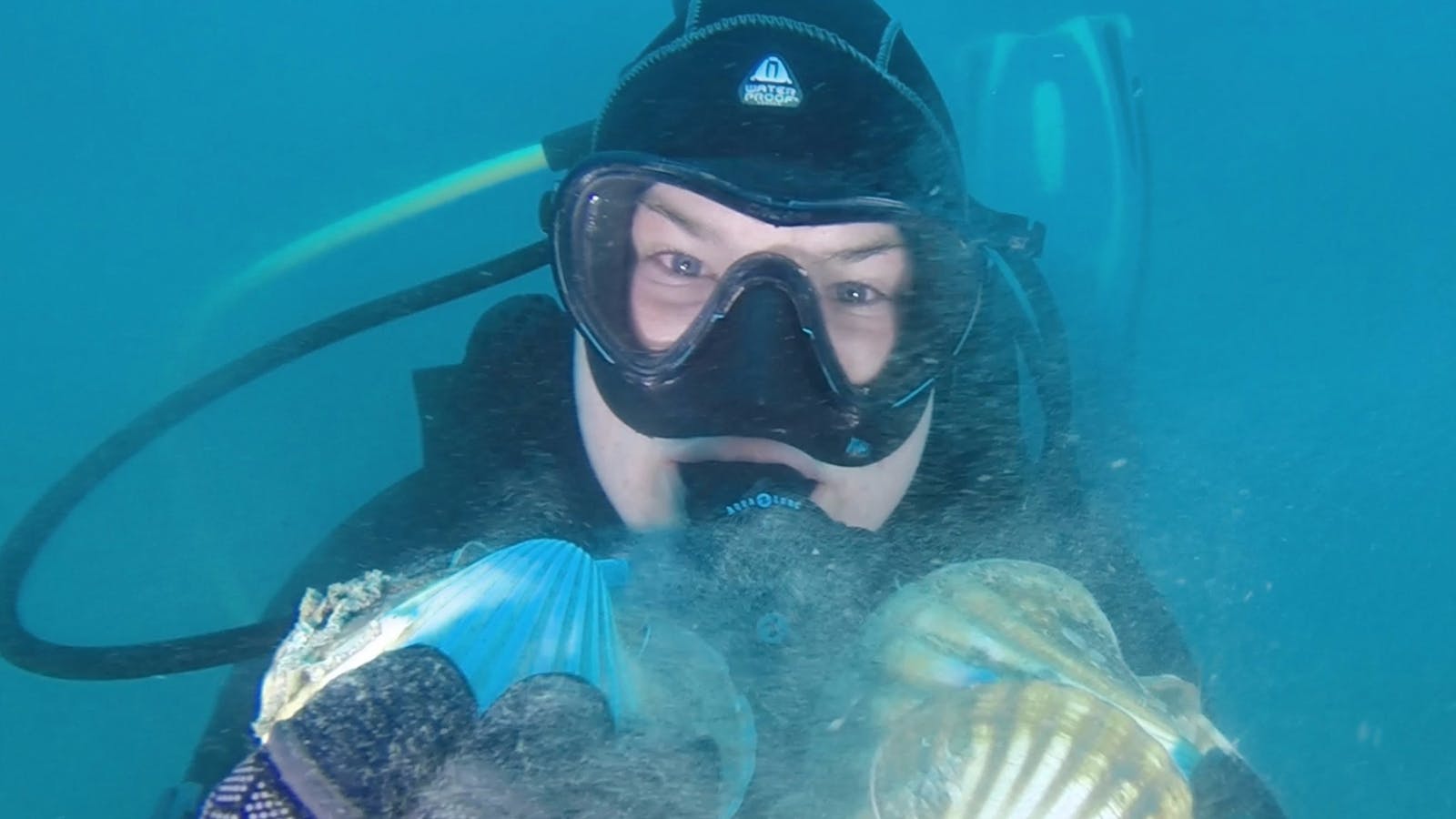 Bay City Scuba