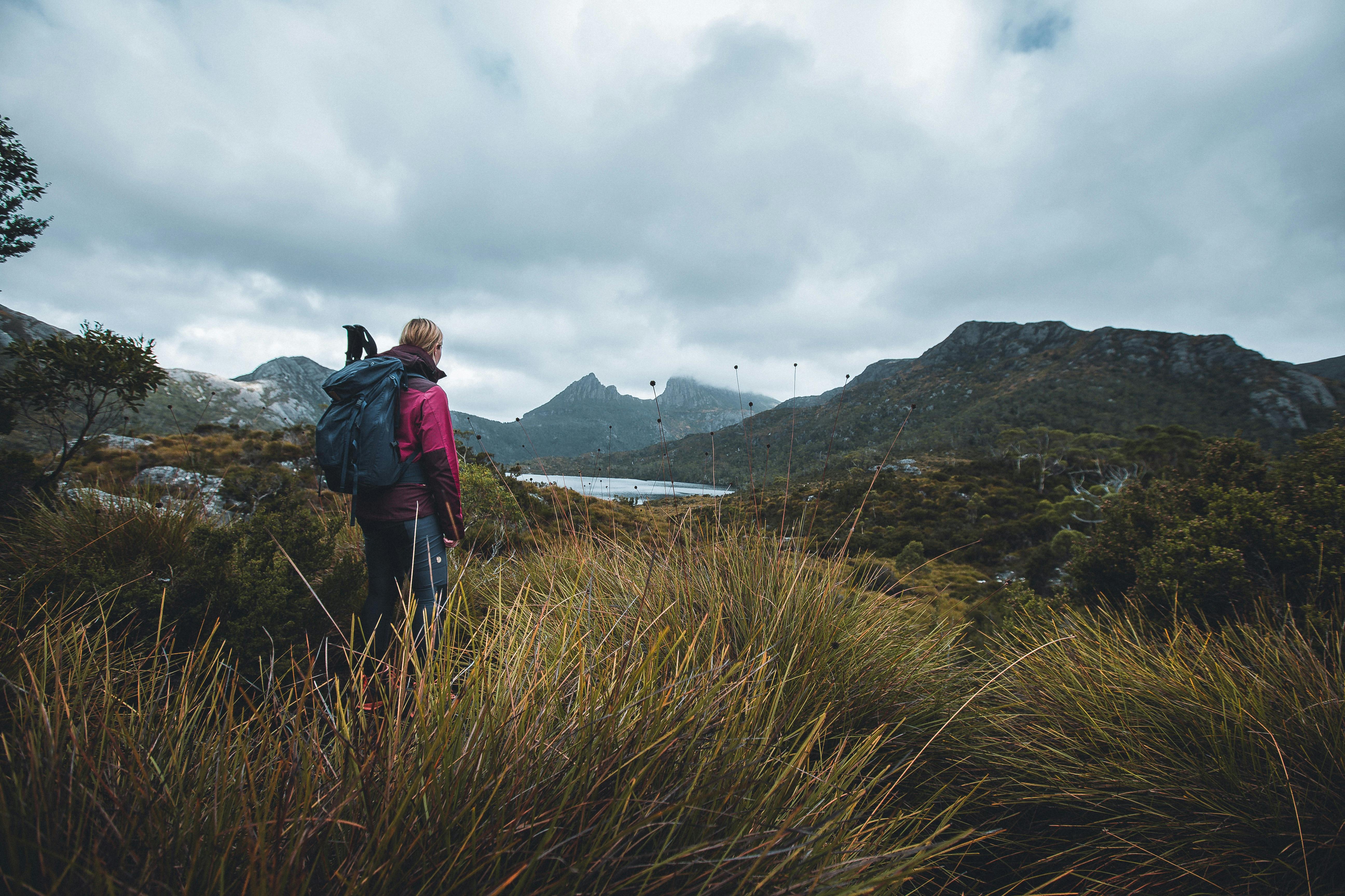 Dove Lake hike tour