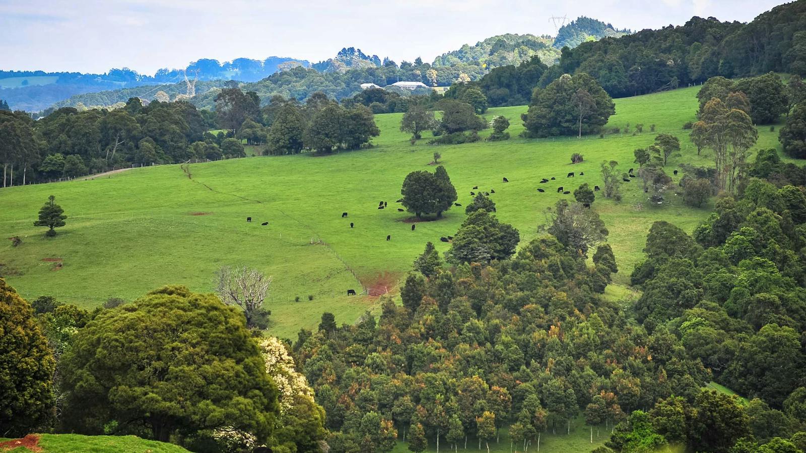 Robertson in the Southern Highlands