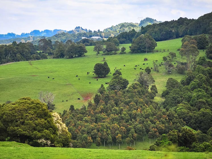 Robertson in the Southern Highlands