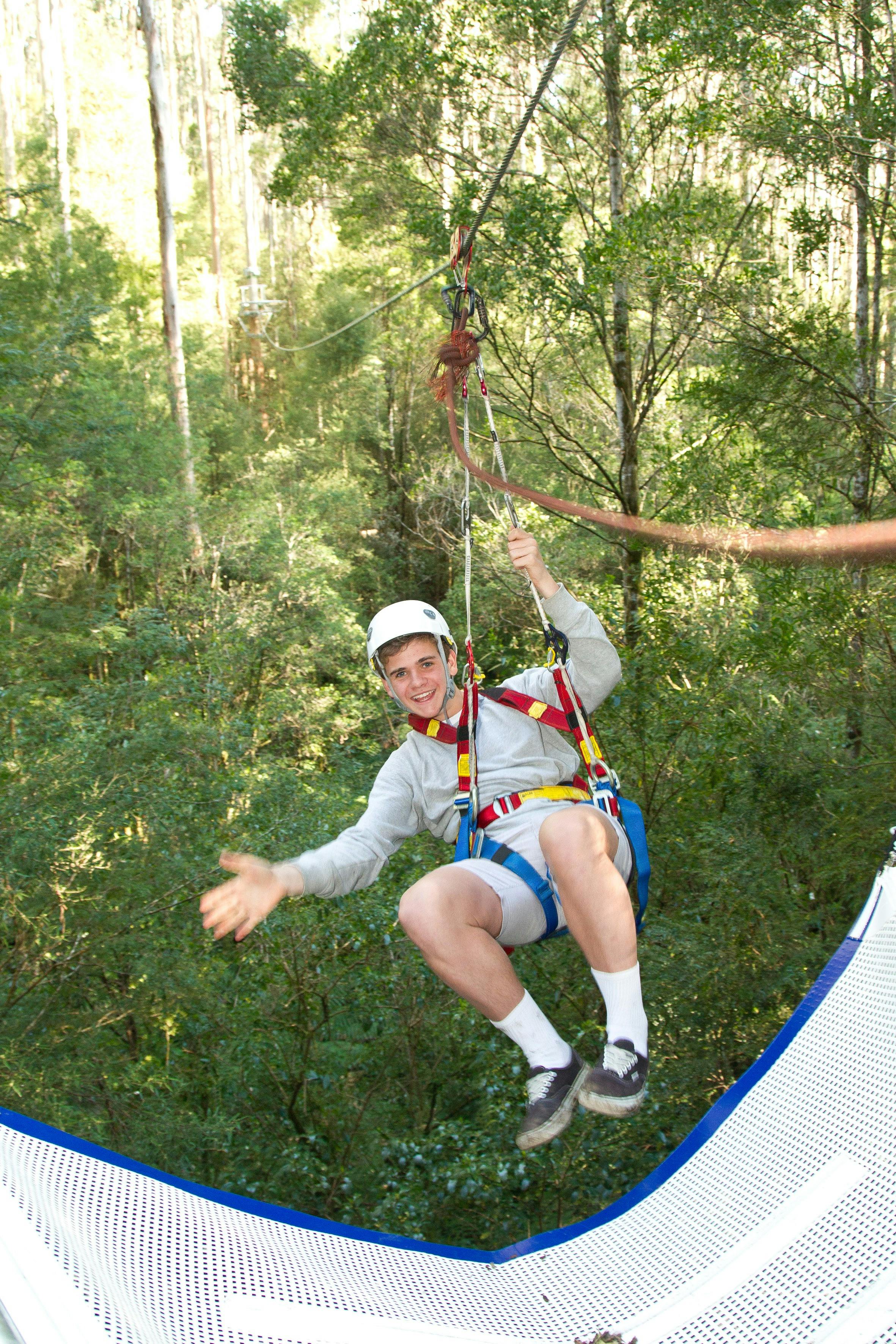 Otway Fly Adventure