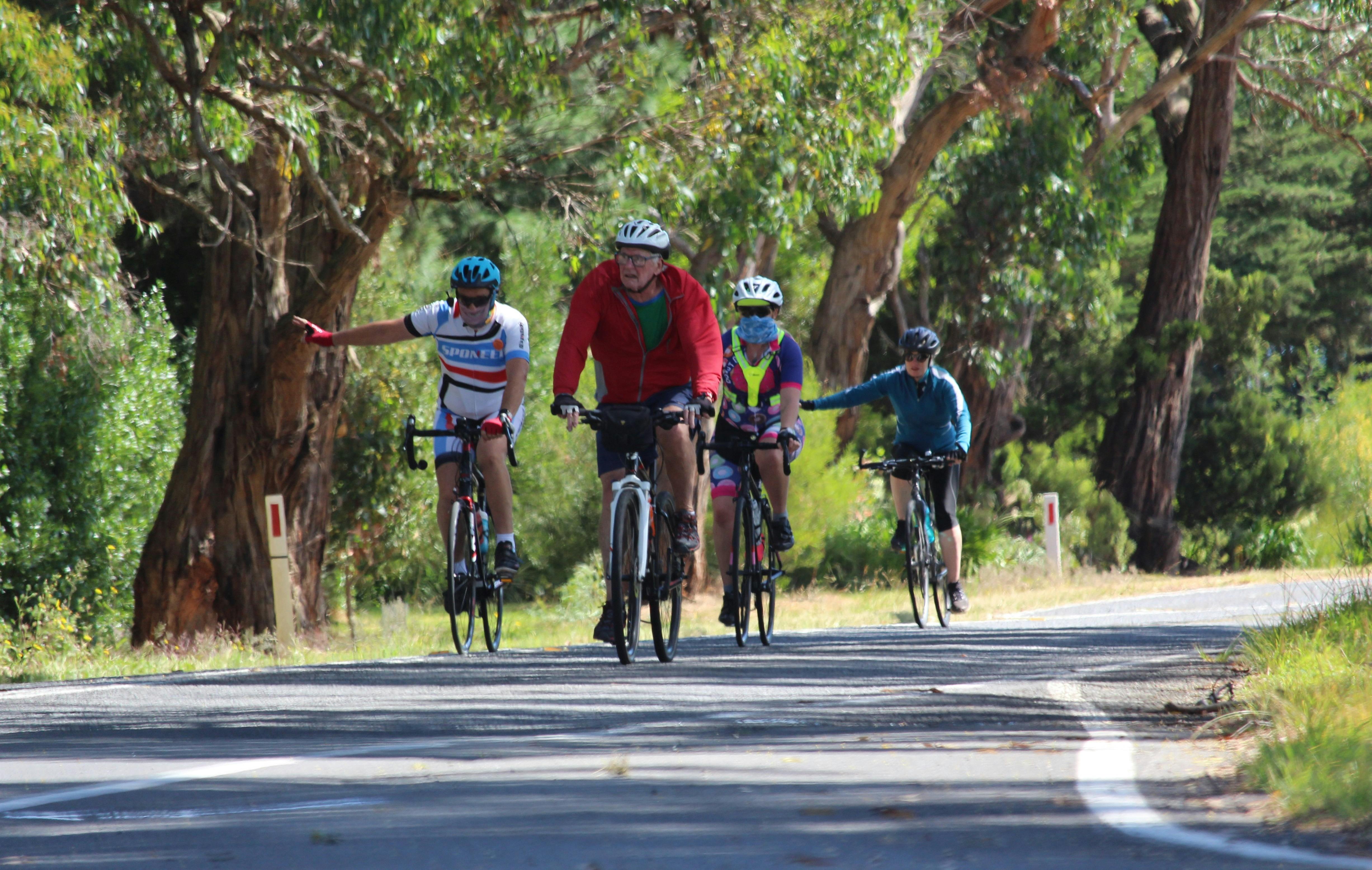AllTrails Cycle Tours Slow Ocean Road Tour