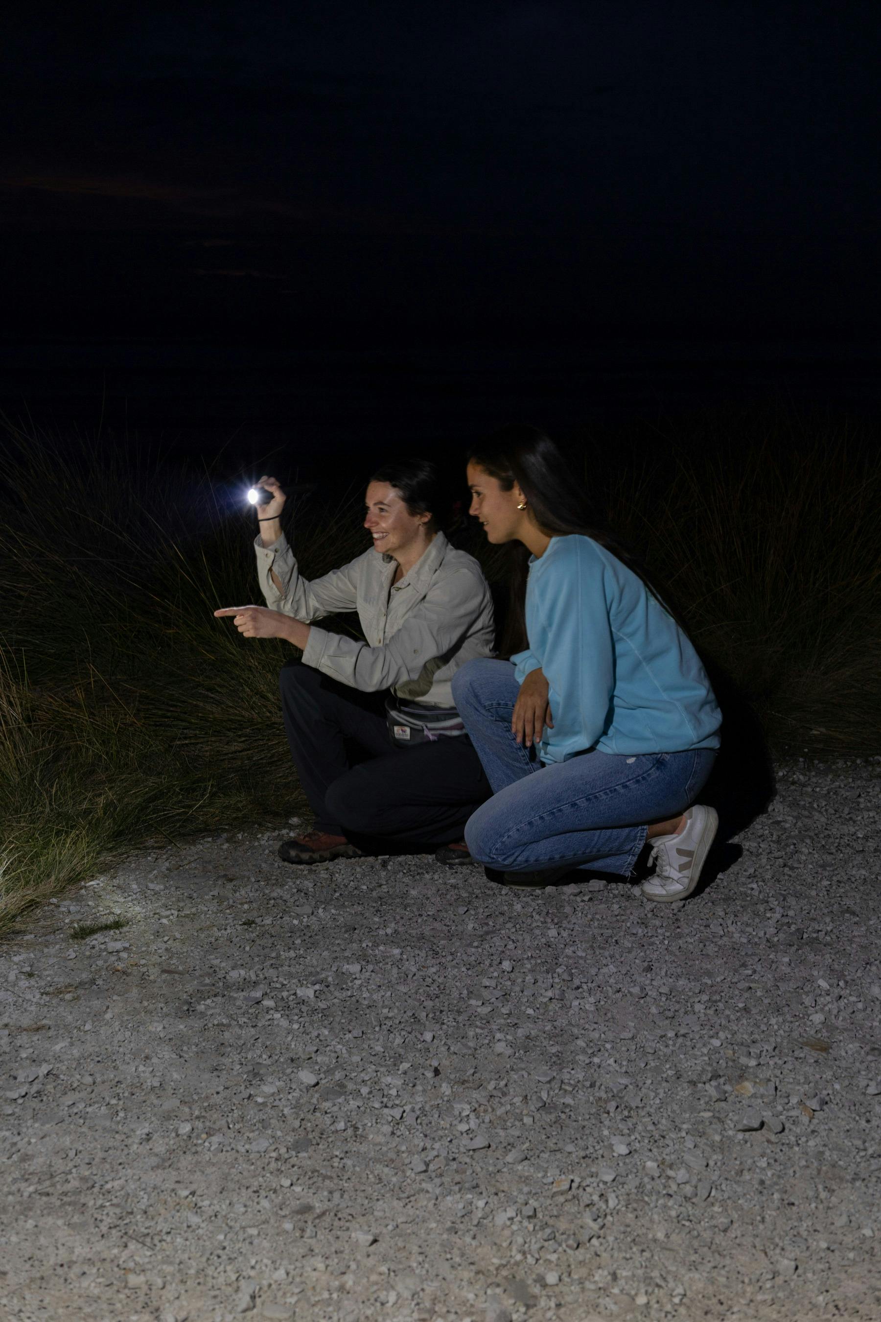 Whitmore's Wild - Wildlife Interpretation Learning & Discovery