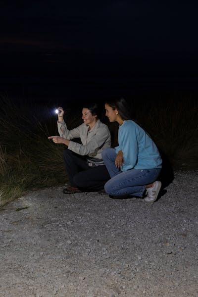 Whitmore's Wild - Wildlife Interpretation Learning & Discovery