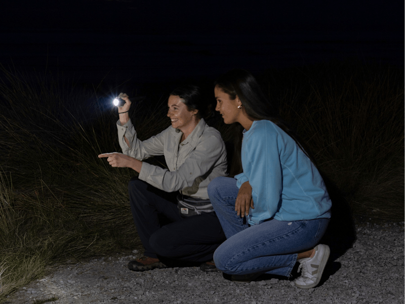 A guide shines their torch into the dark, to show their guest what is there.