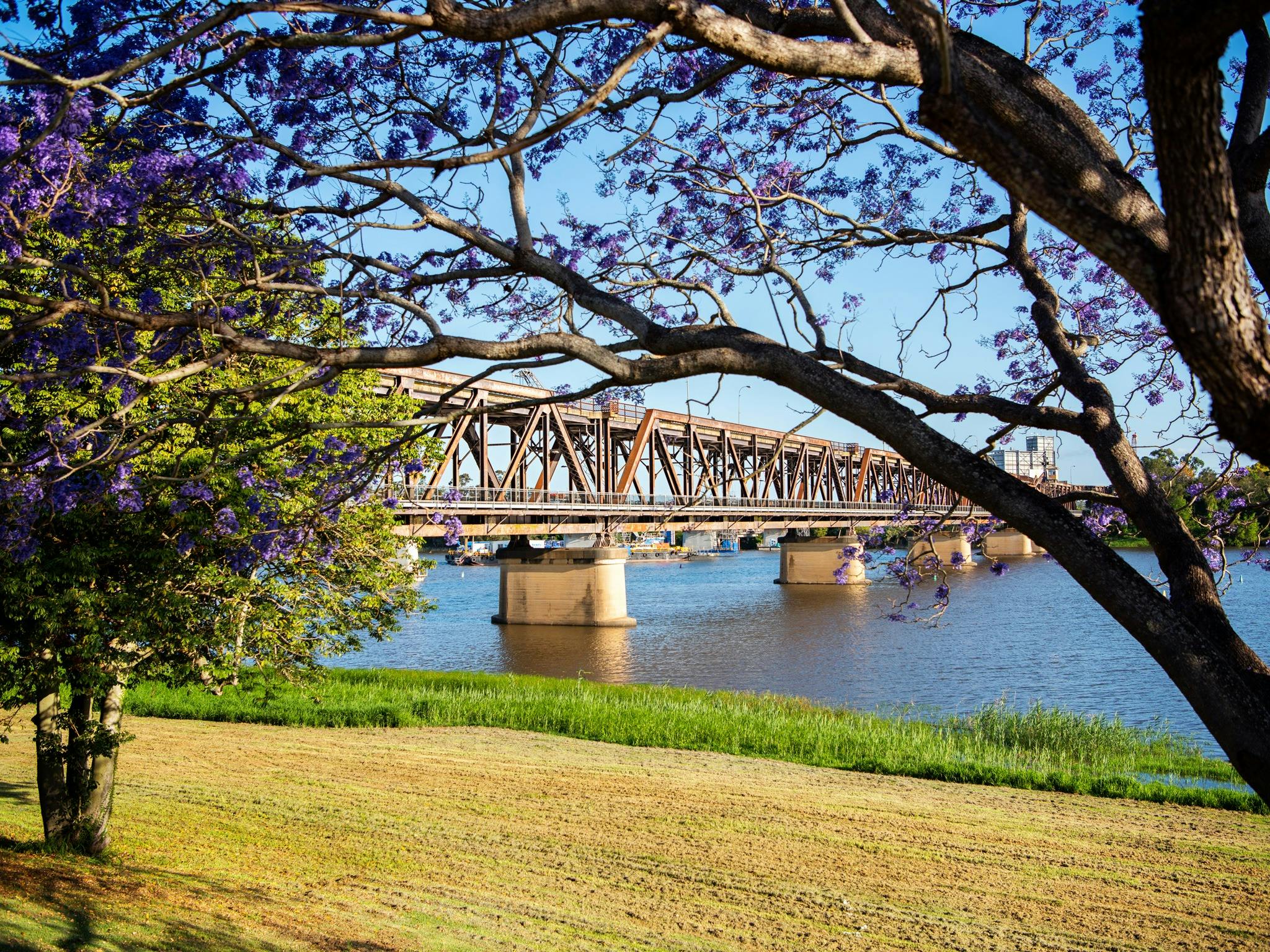 Grafton Bendy Bridge | NSW Holidays & Accommodation, Things to Do