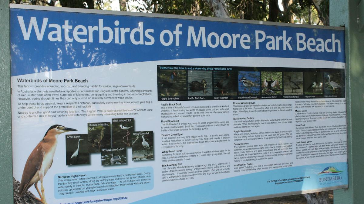 Moore Park Wetlands | Attractions | Queensland