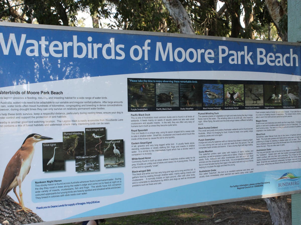 Moore Park Wetlands