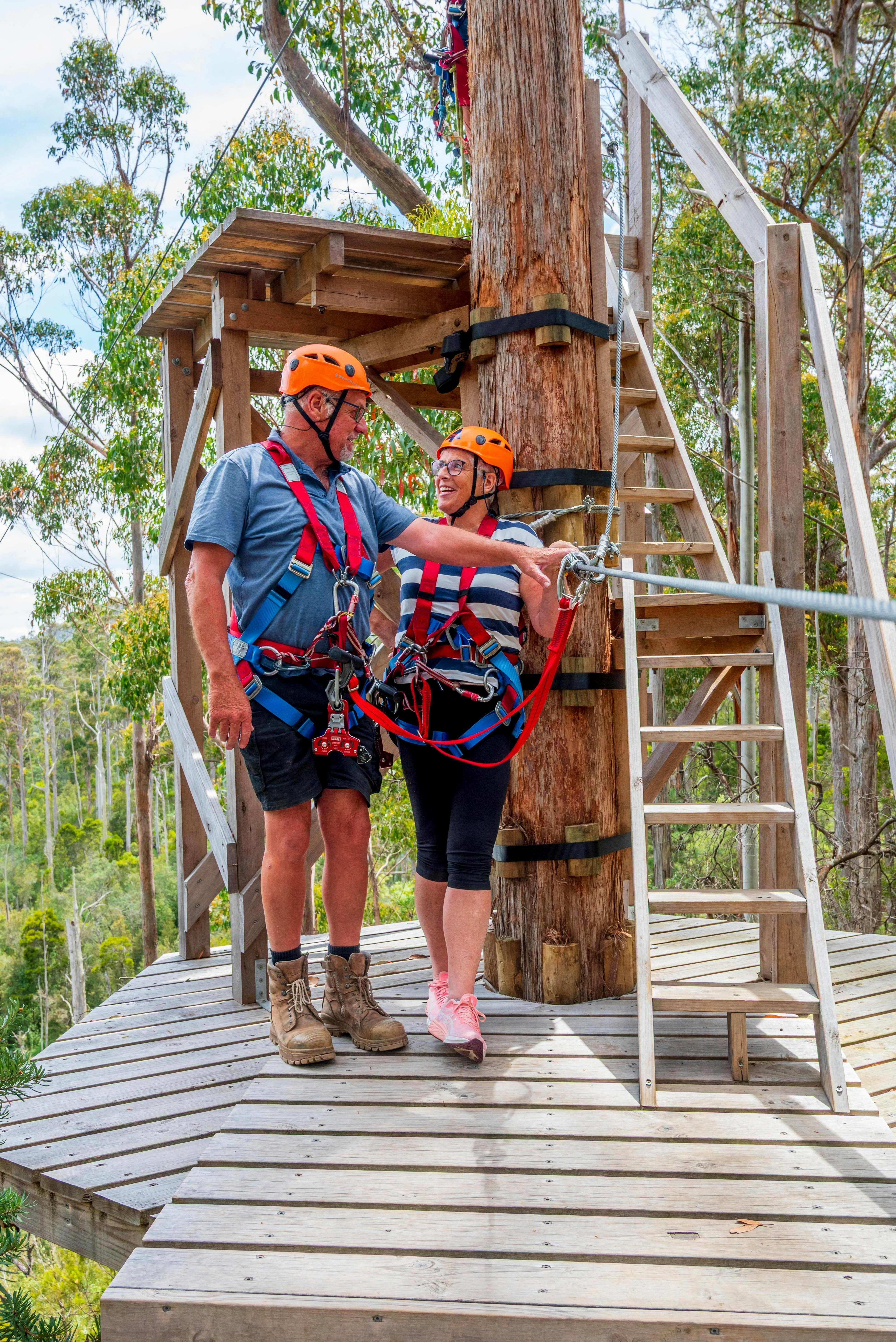 Treetops Hollybank Zipline Tour for all ages