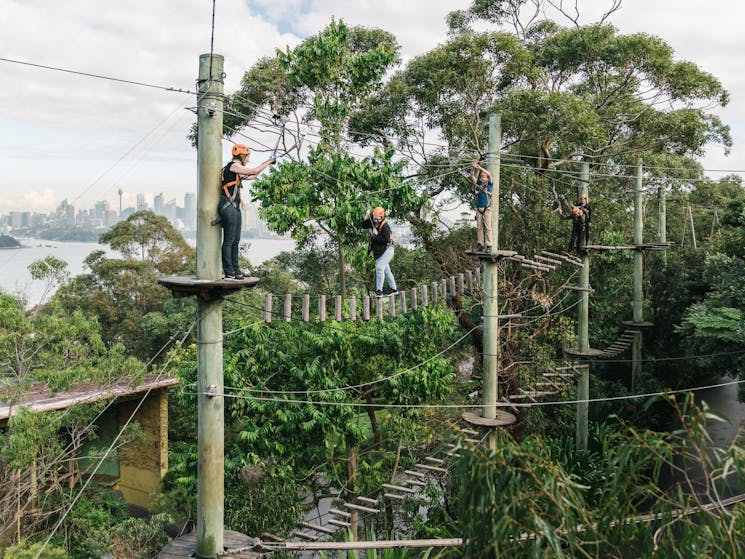 Wild Ropes at Taronga Zoo Sydney - Adults and Juniors Course