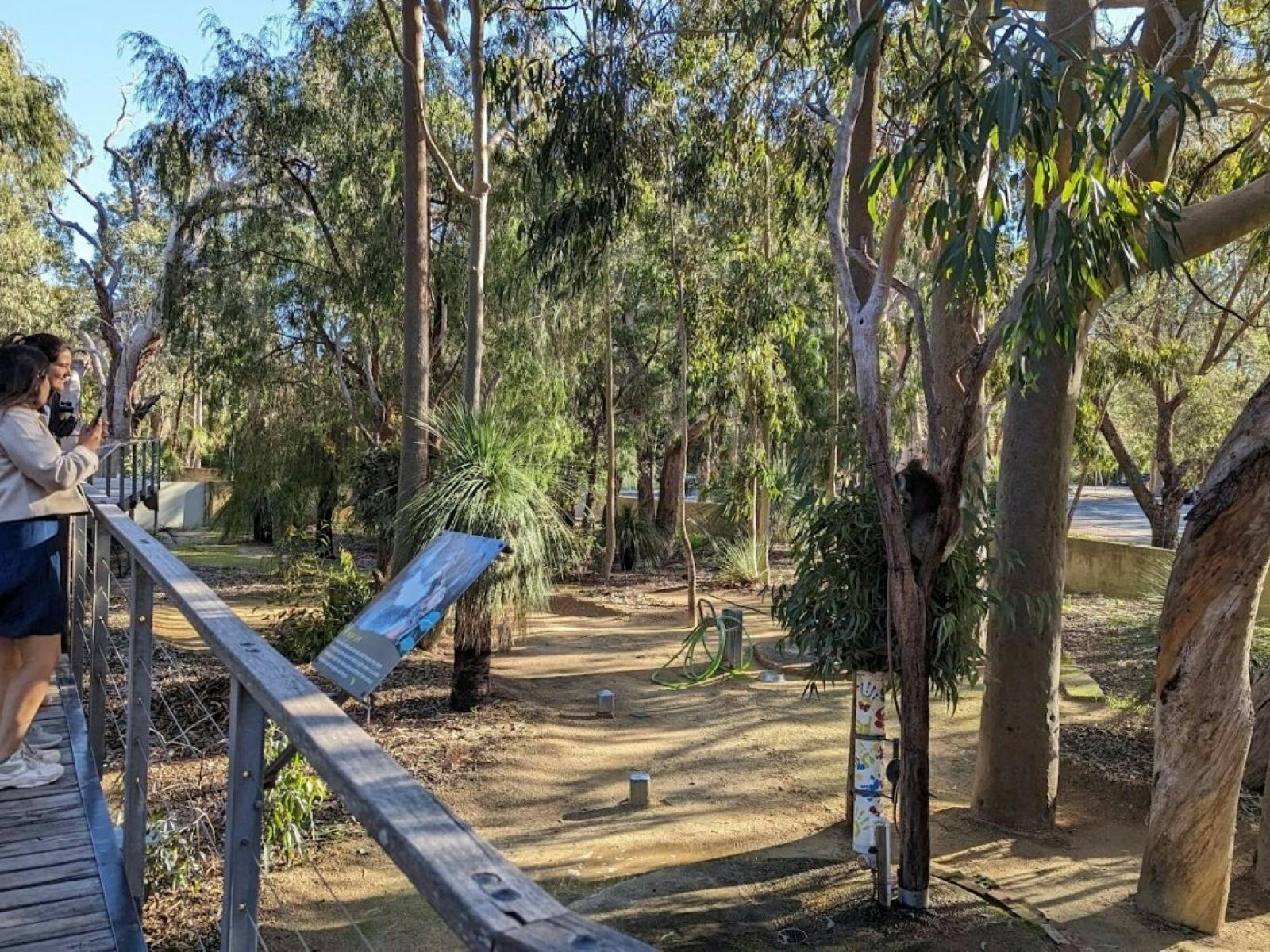 Yanchep P2P