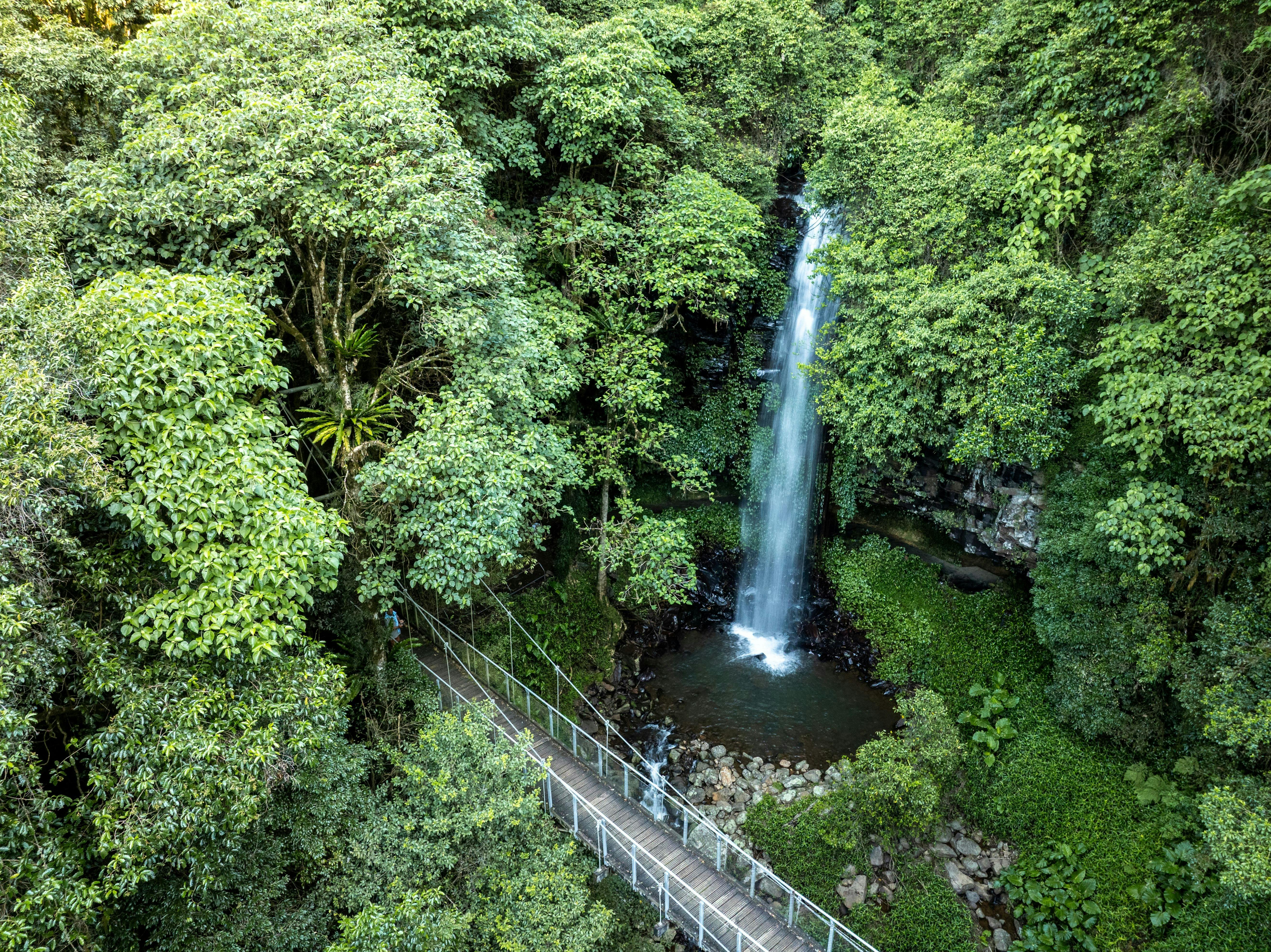 Waterfall Way - Crystal Shower Falls