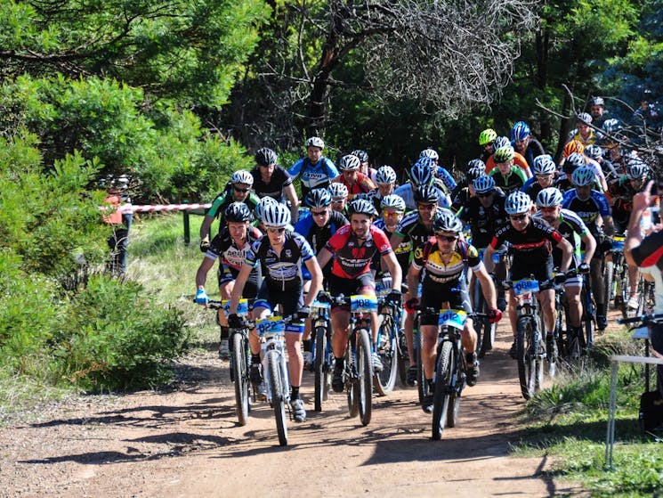 Riders at the annual Tumut MTB event at Tumut MTB Park