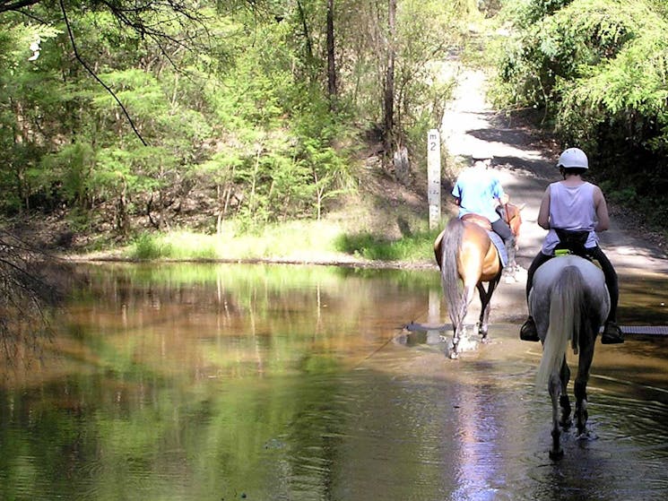 Putty Creek