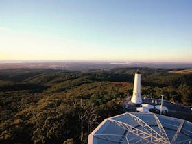 Mount Lofty Summit