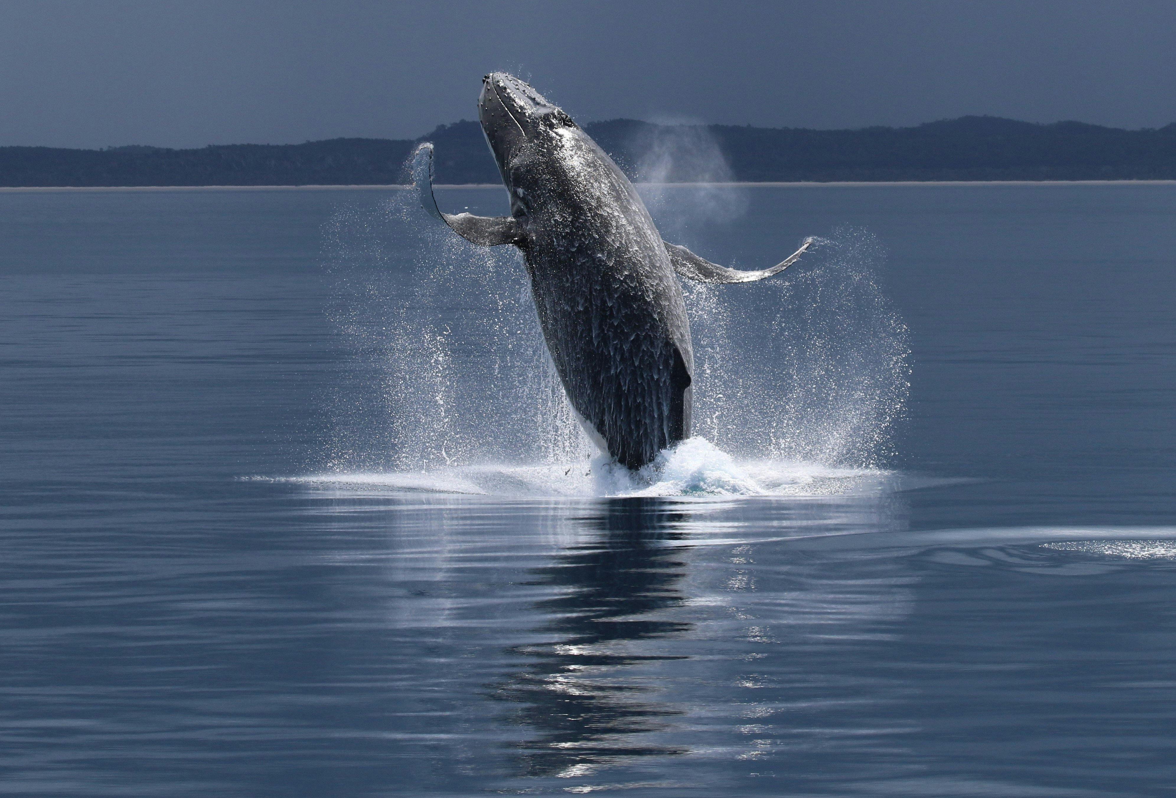 Glorious breach on glassed out water