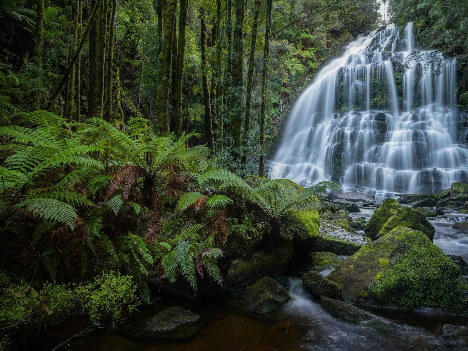 Image for West Coast Tasmania - Where the Wild Light Falls