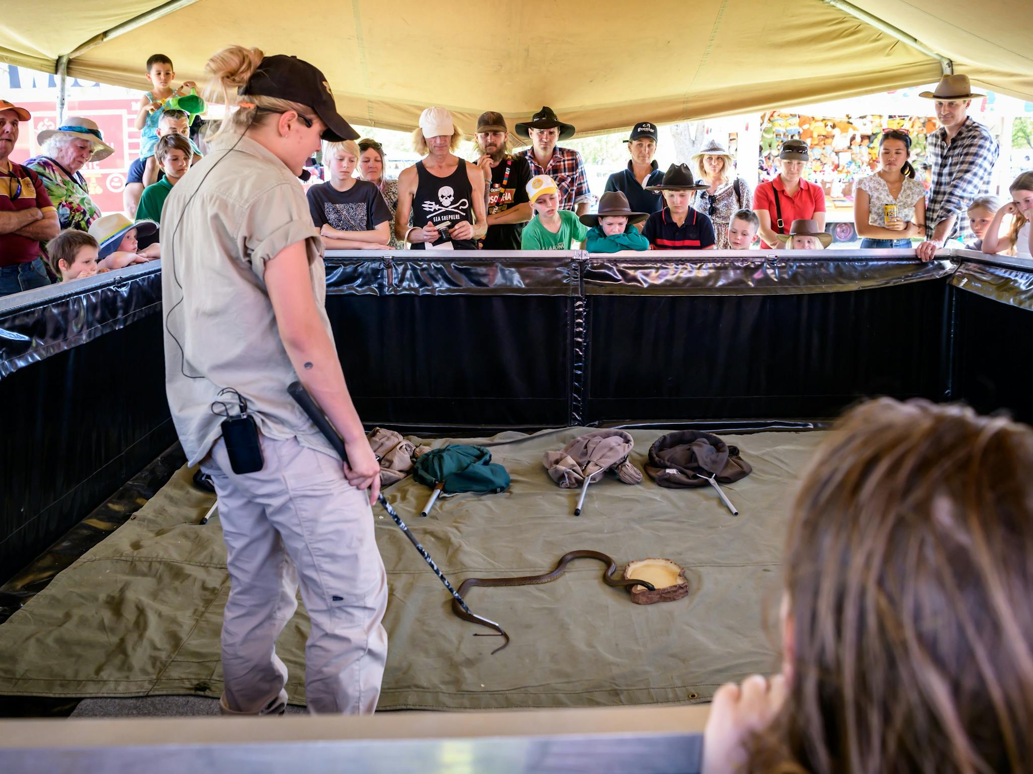 Wildlife Twins Reptile Show