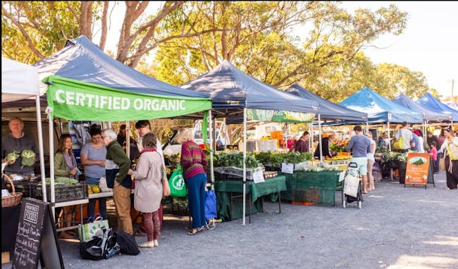 People walking through an outdoor market with stalls selling food and handmade goods under trees