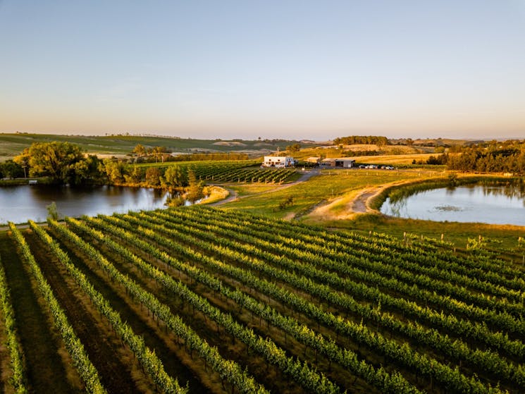 Cellar door with views