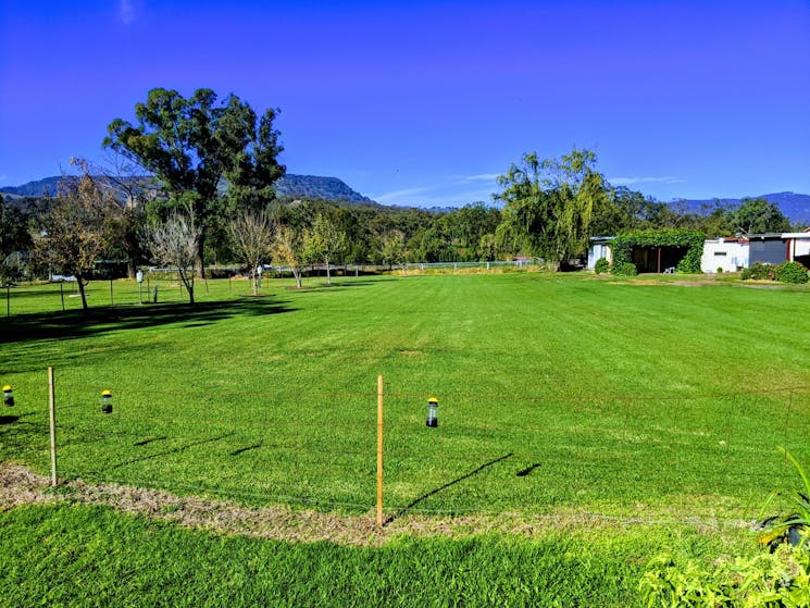 Grass Camping Area