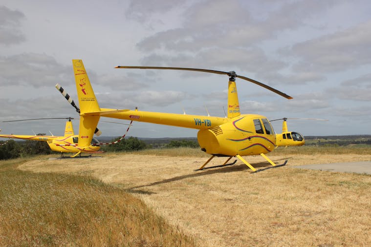 30 Minute Scenic Flight Barossa Vally Deluxe