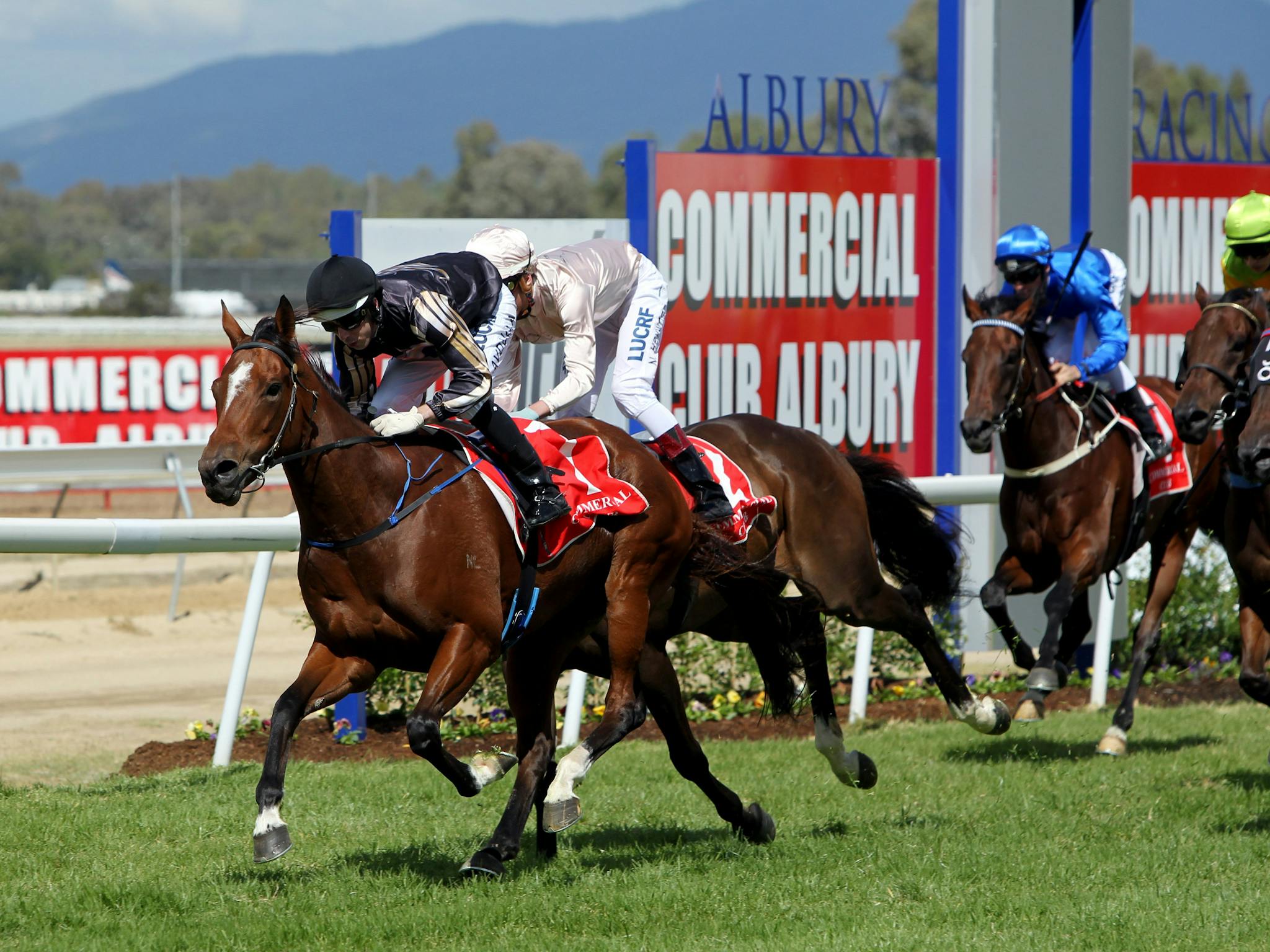 Albury Racing Club