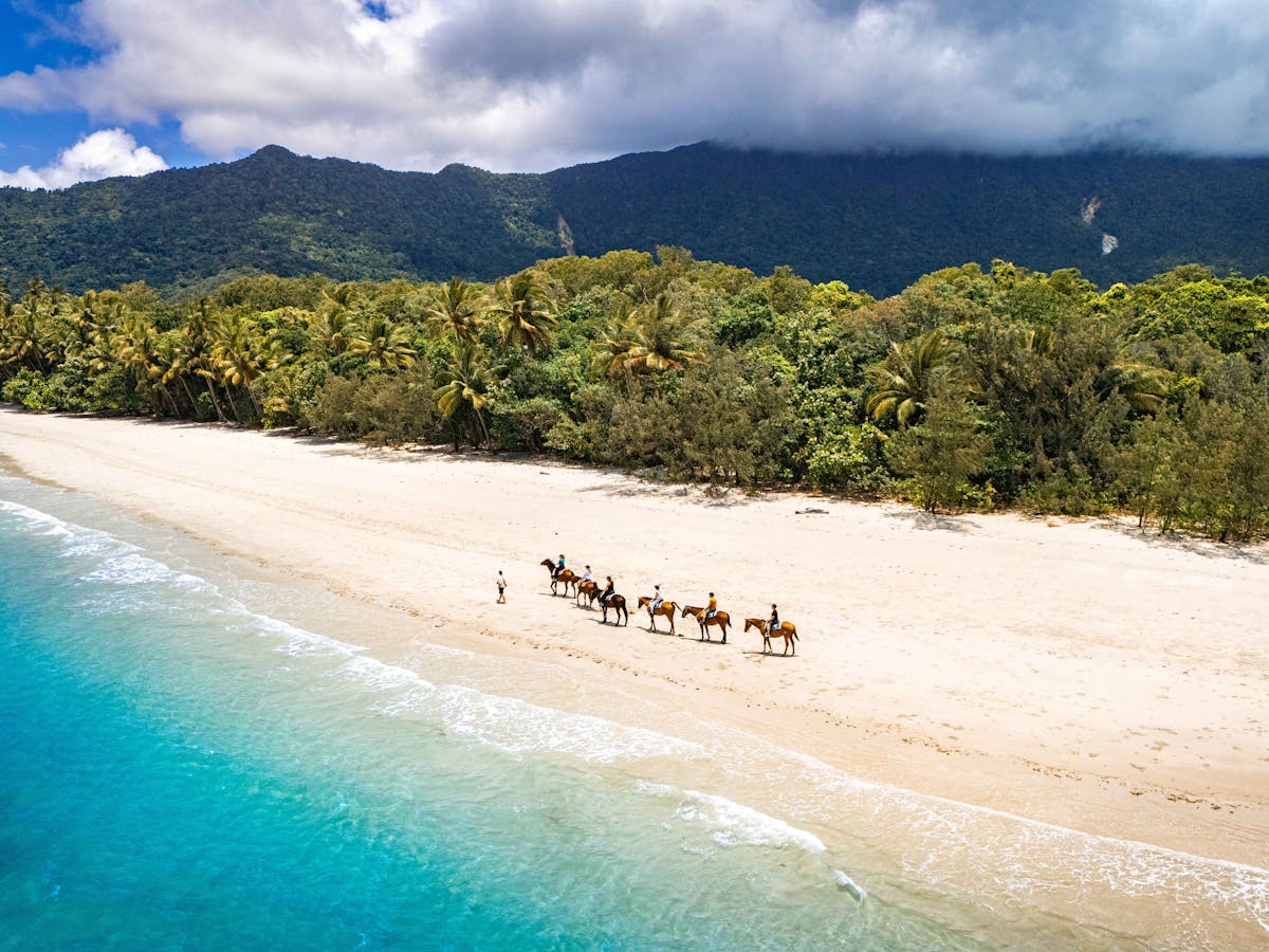 Cape Tribulation