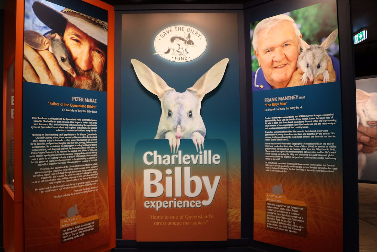 Charleville Bilby Experience