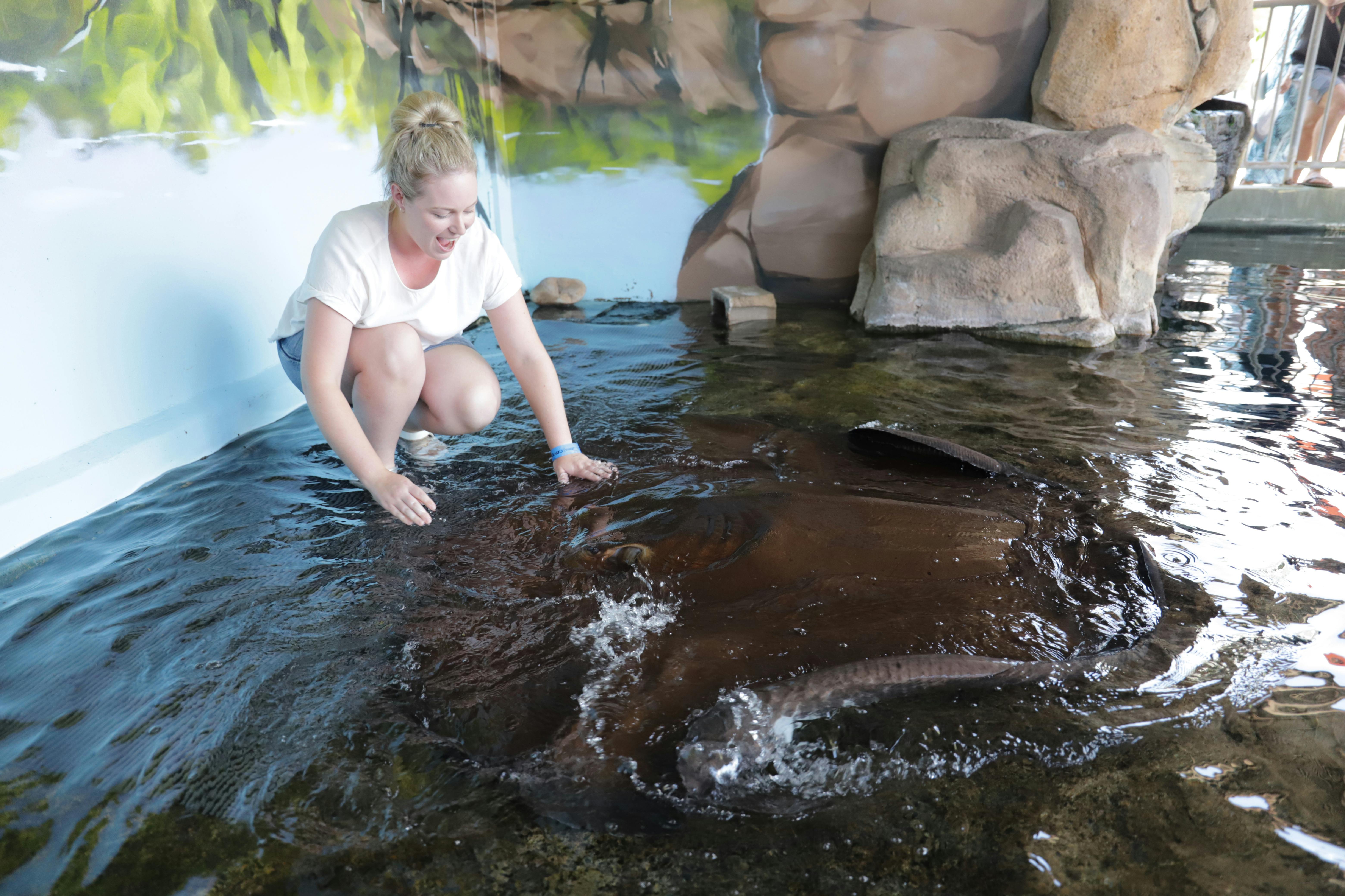 A guest enjoying meeting one of our Freshwater Whiprays