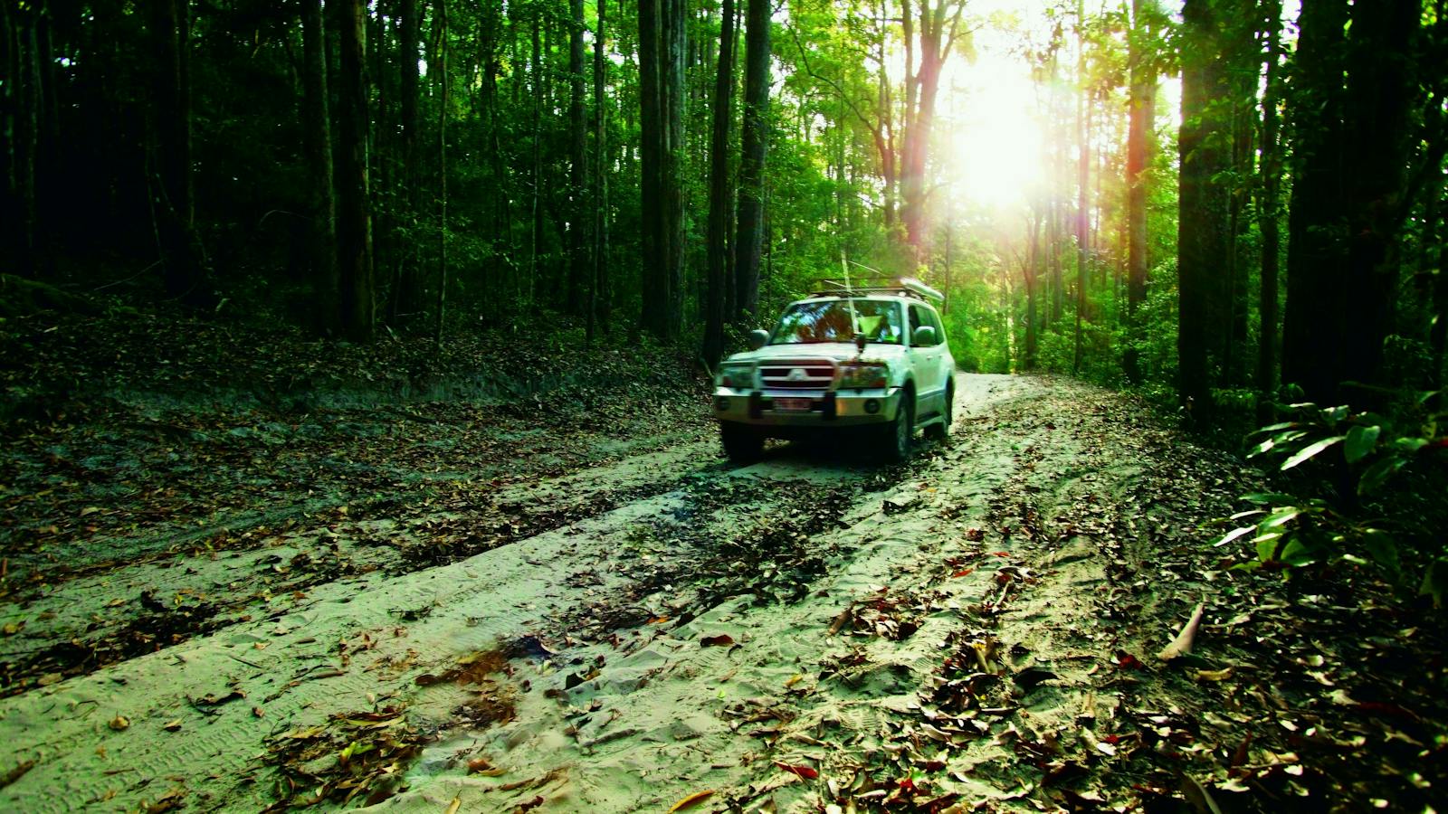 4WD driving on Fraser Island