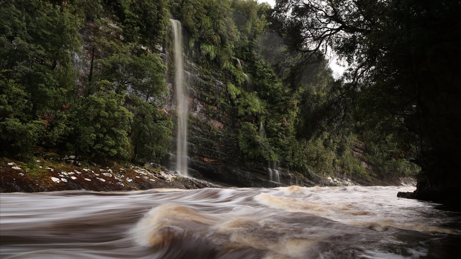 Water By Nature Tasmania - Franklin River Rafting